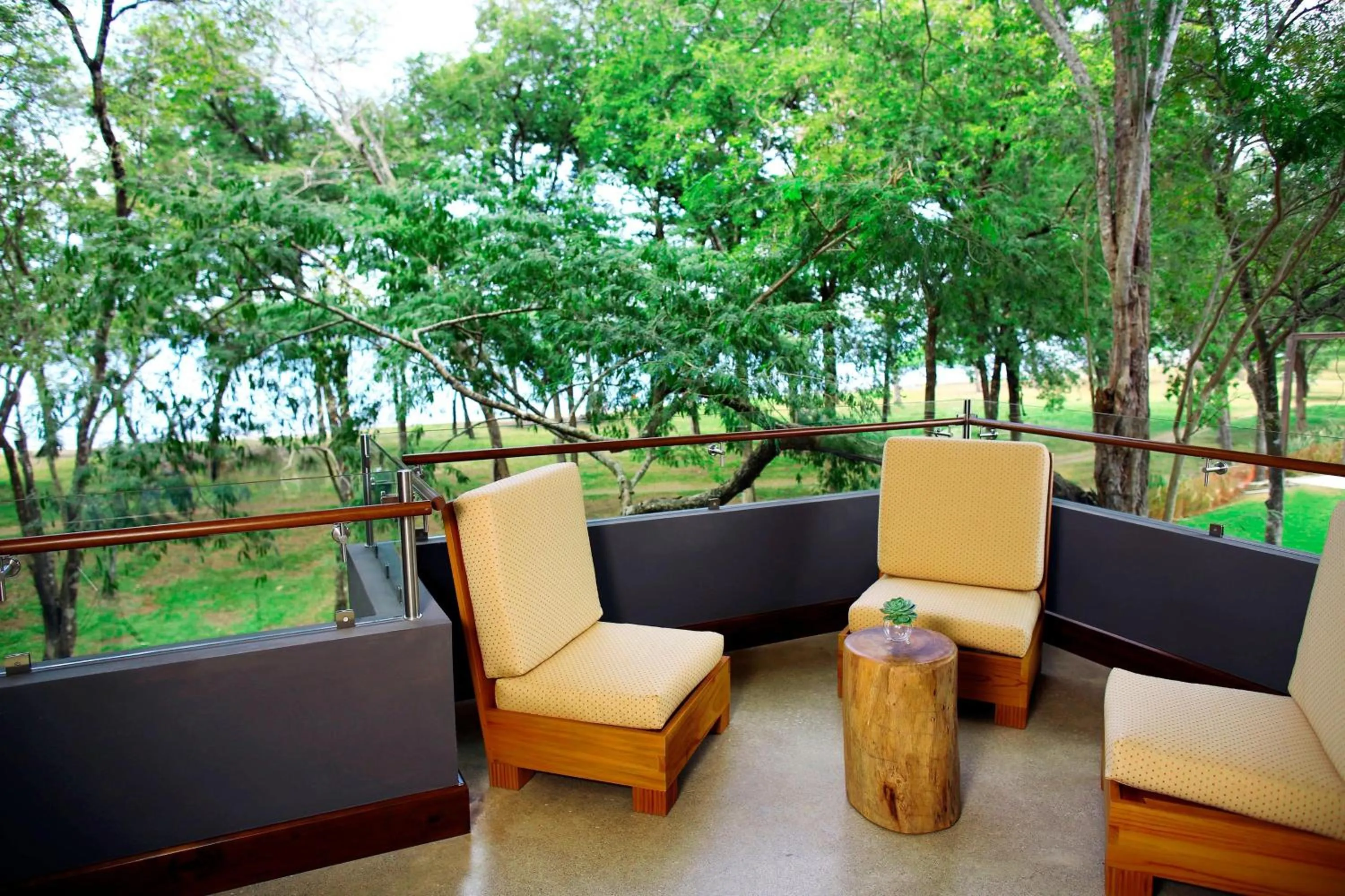 Photo of the whole room in El Mangroove Papagayo, Autograph Collection