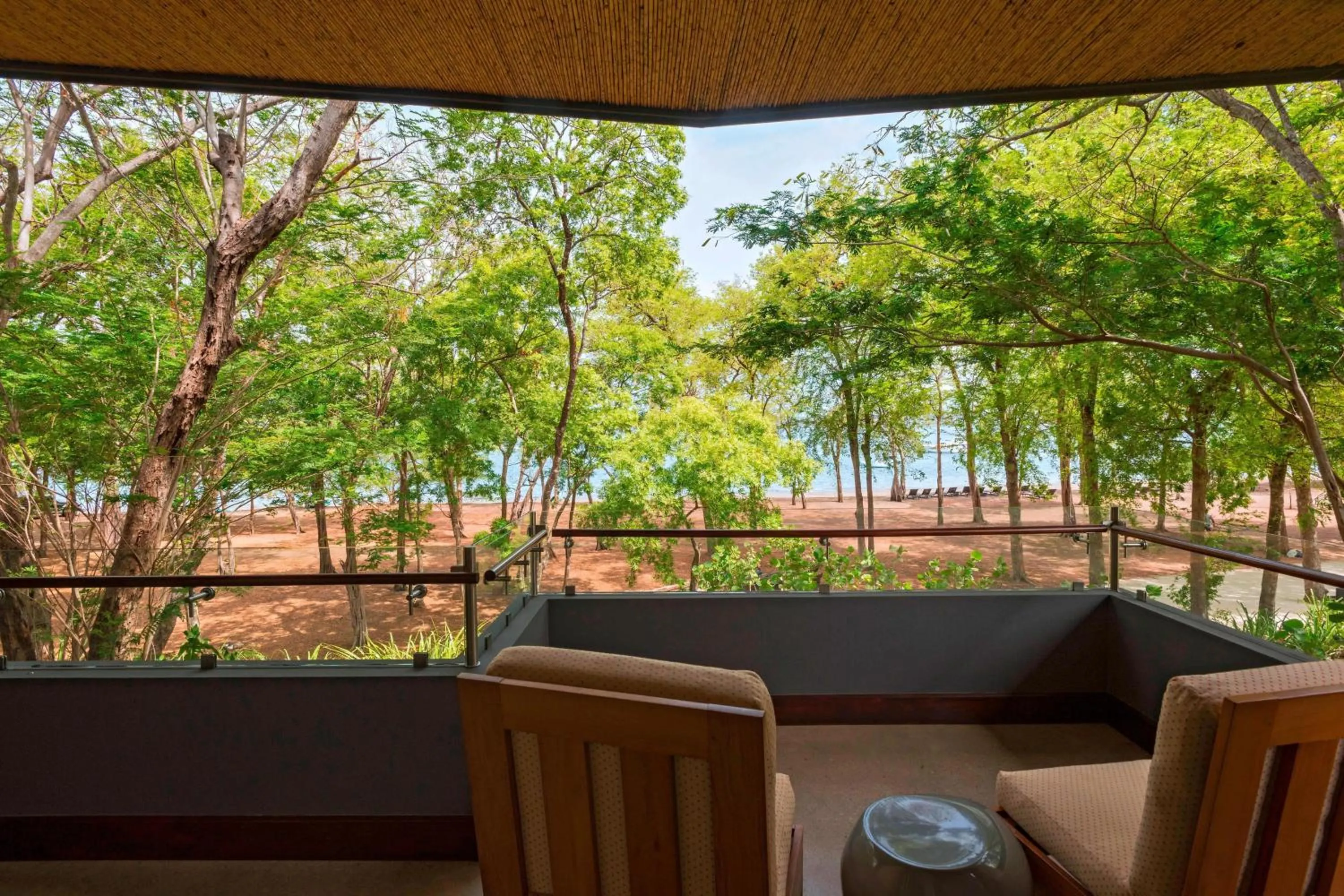 Photo of the whole room in El Mangroove Papagayo, Autograph Collection