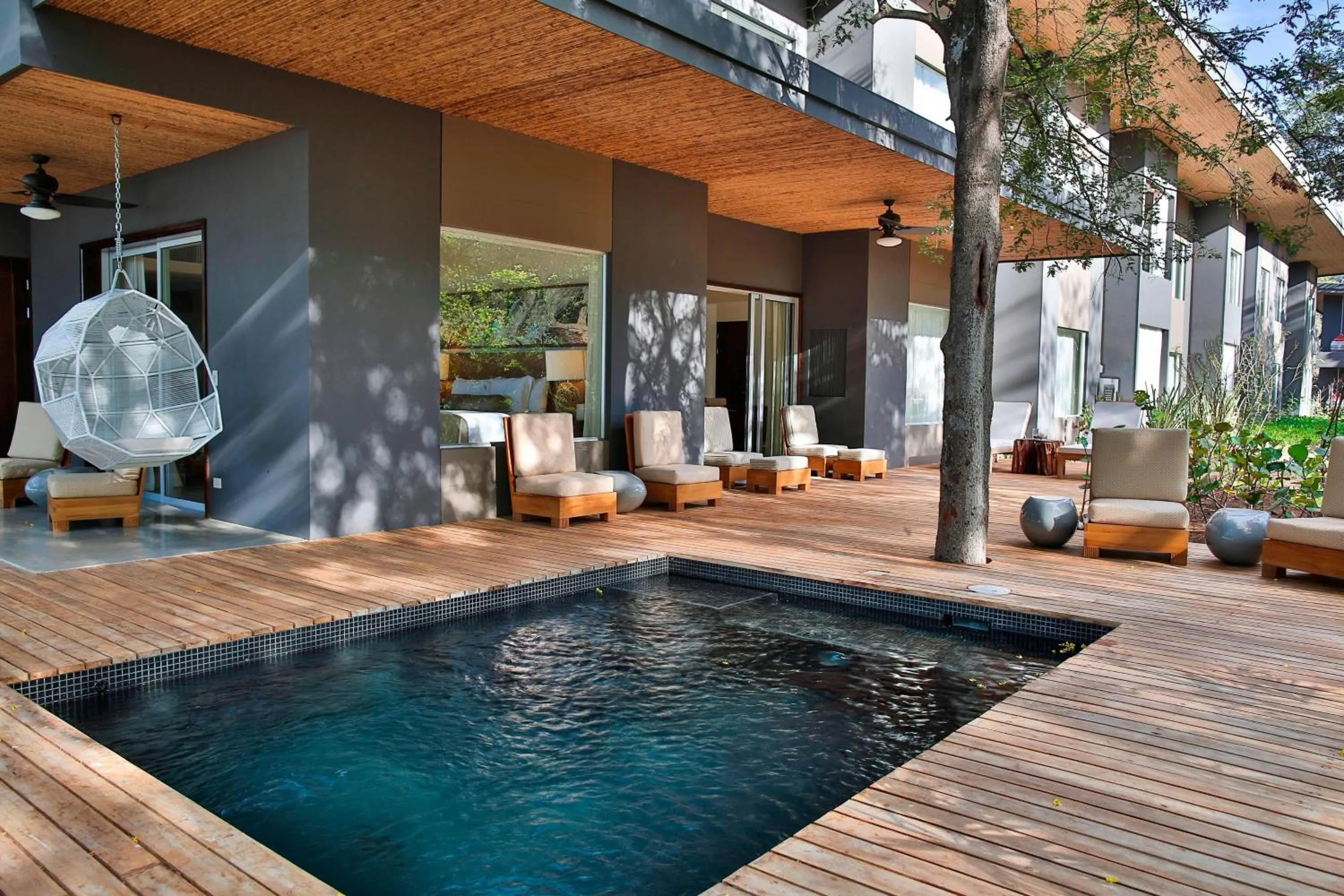 Photo of the whole room in El Mangroove Papagayo, Autograph Collection