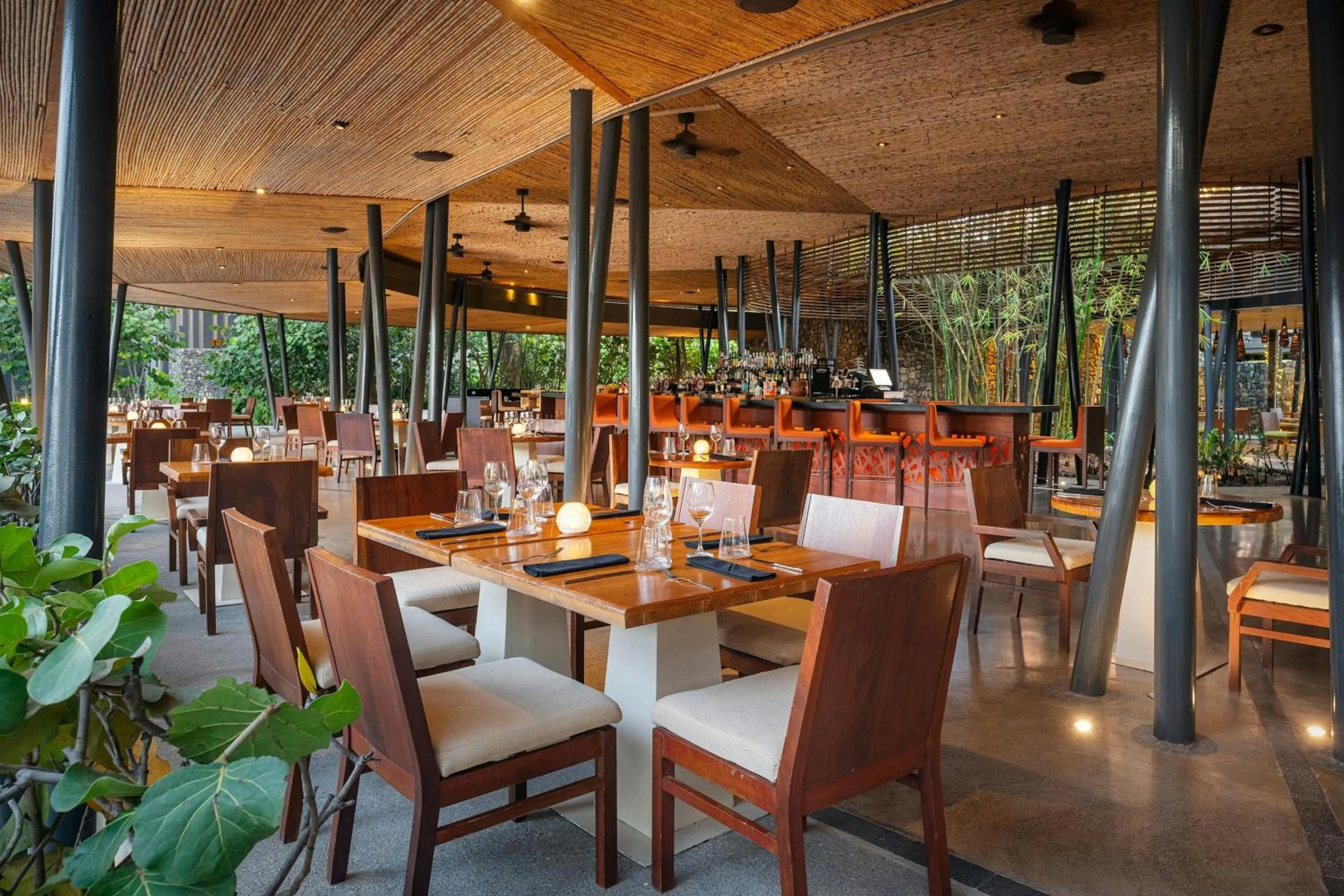 Restaurant/places to eat in El Mangroove Papagayo, Autograph Collection