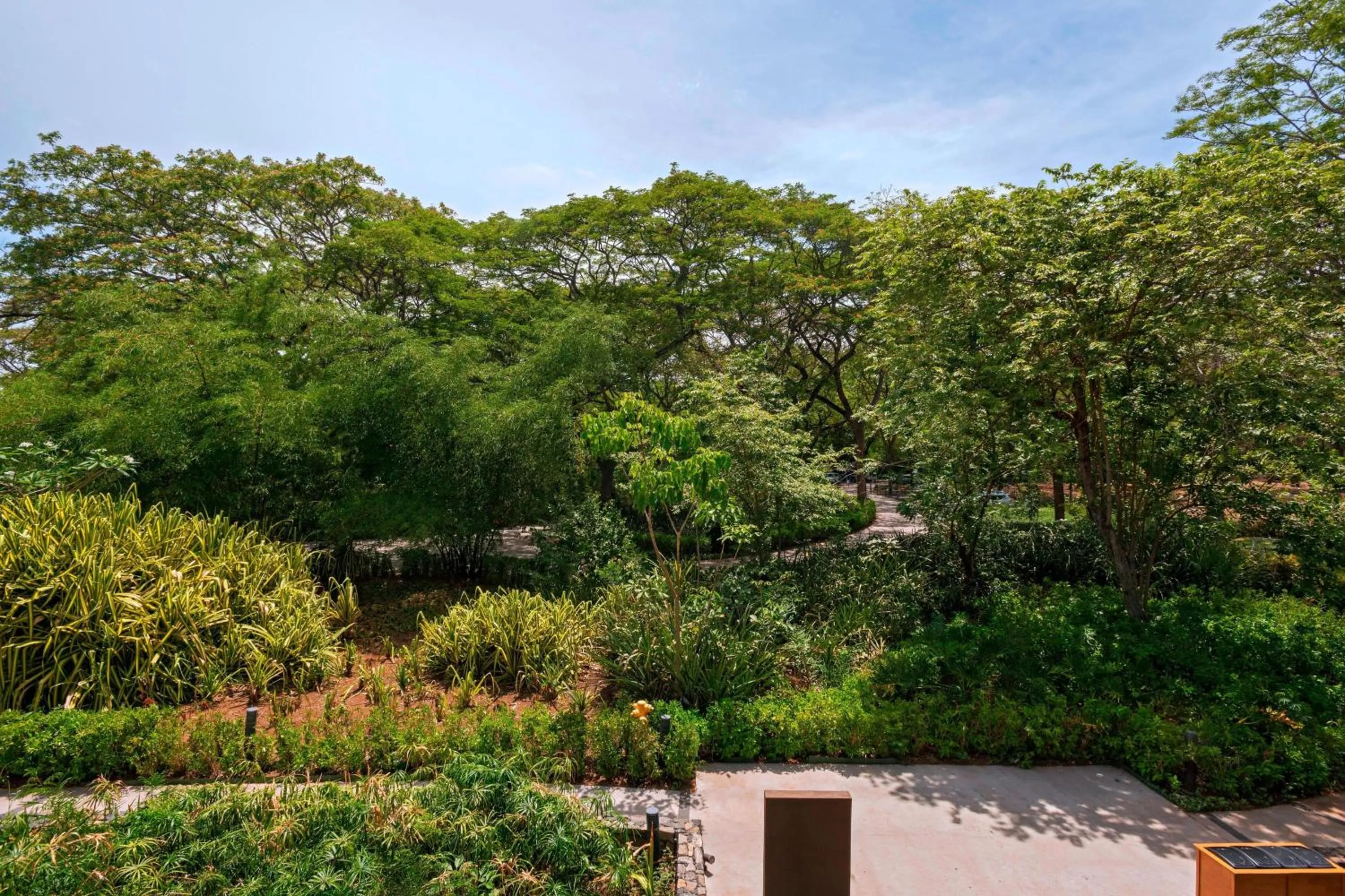 Lounge or bar in El Mangroove Papagayo, Autograph Collection