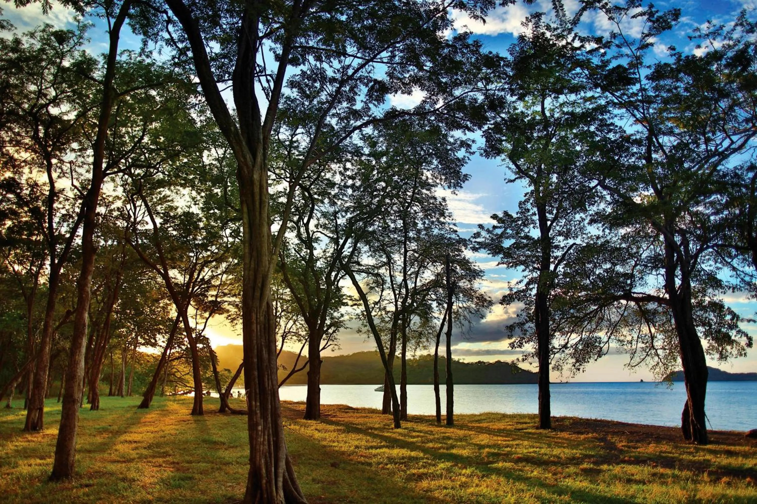Beach in El Mangroove Papagayo, Autograph Collection