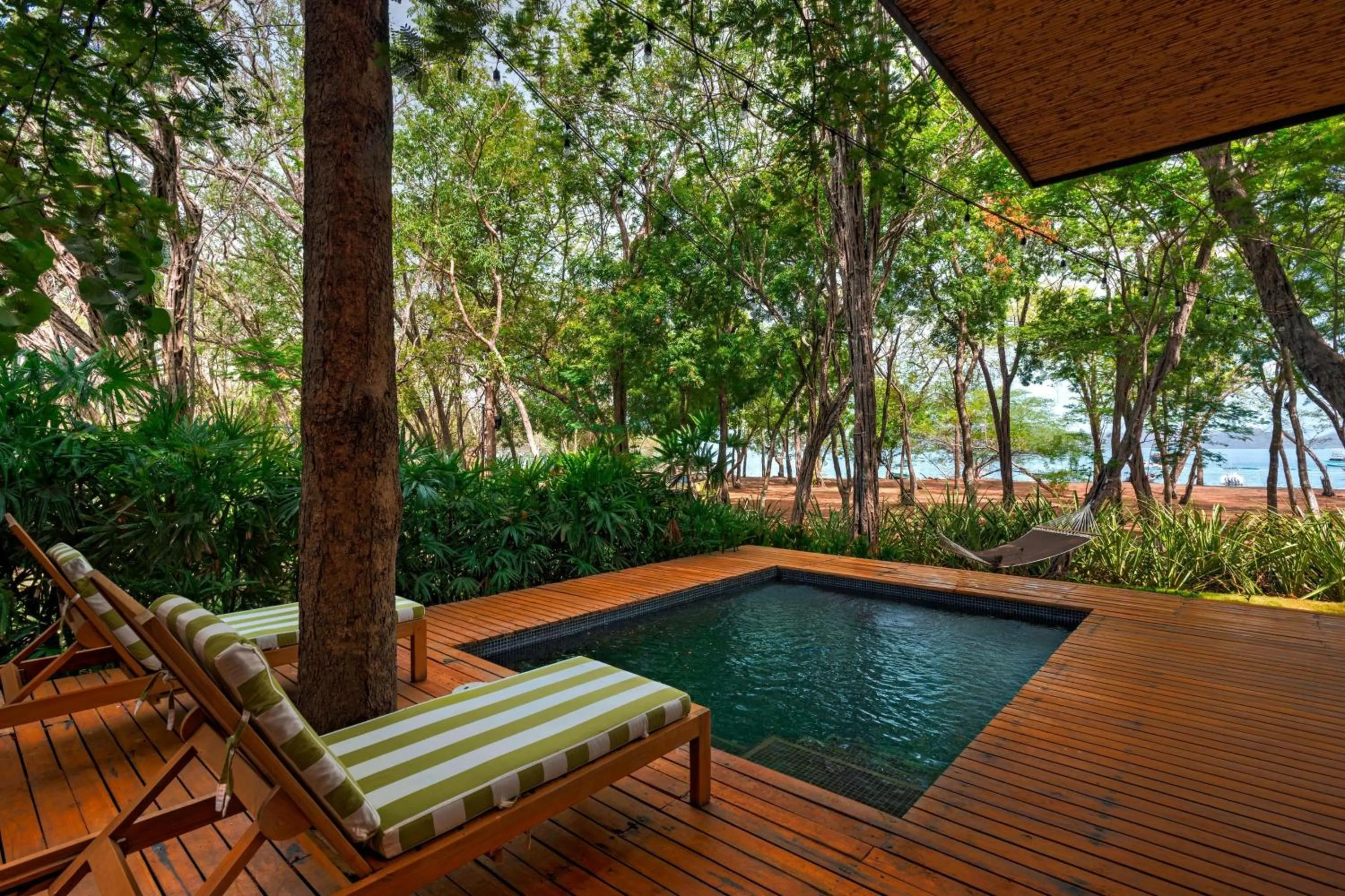 Photo of the whole room in El Mangroove Papagayo, Autograph Collection