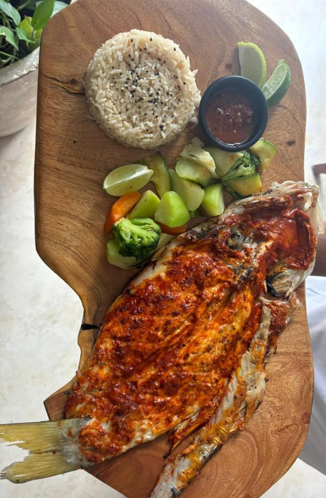 Restaurant/places to eat in Hotel Mittoz Holbox