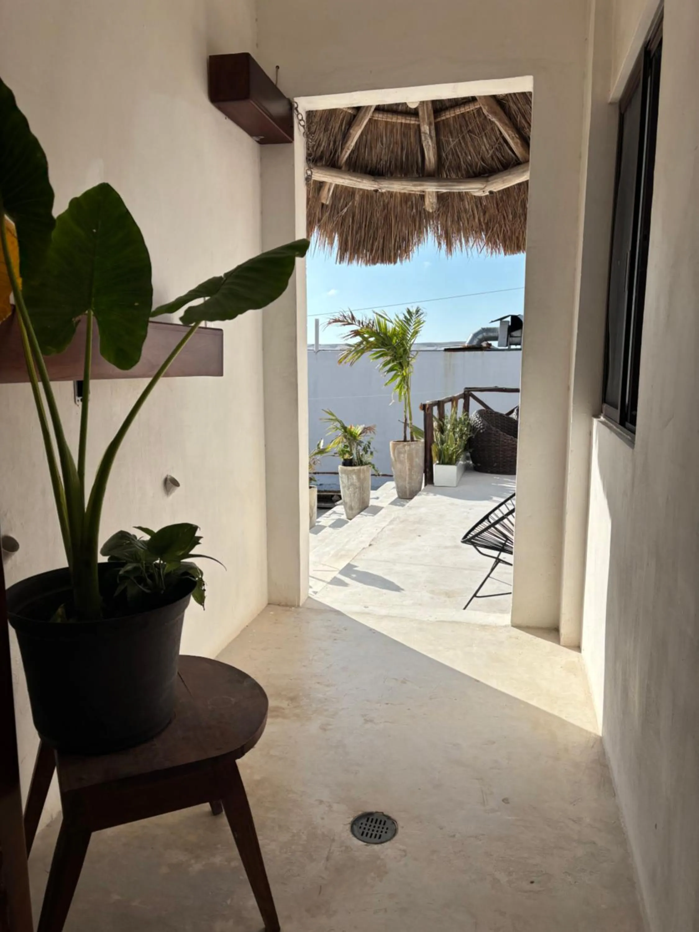 Hotel Mittoz Holbox