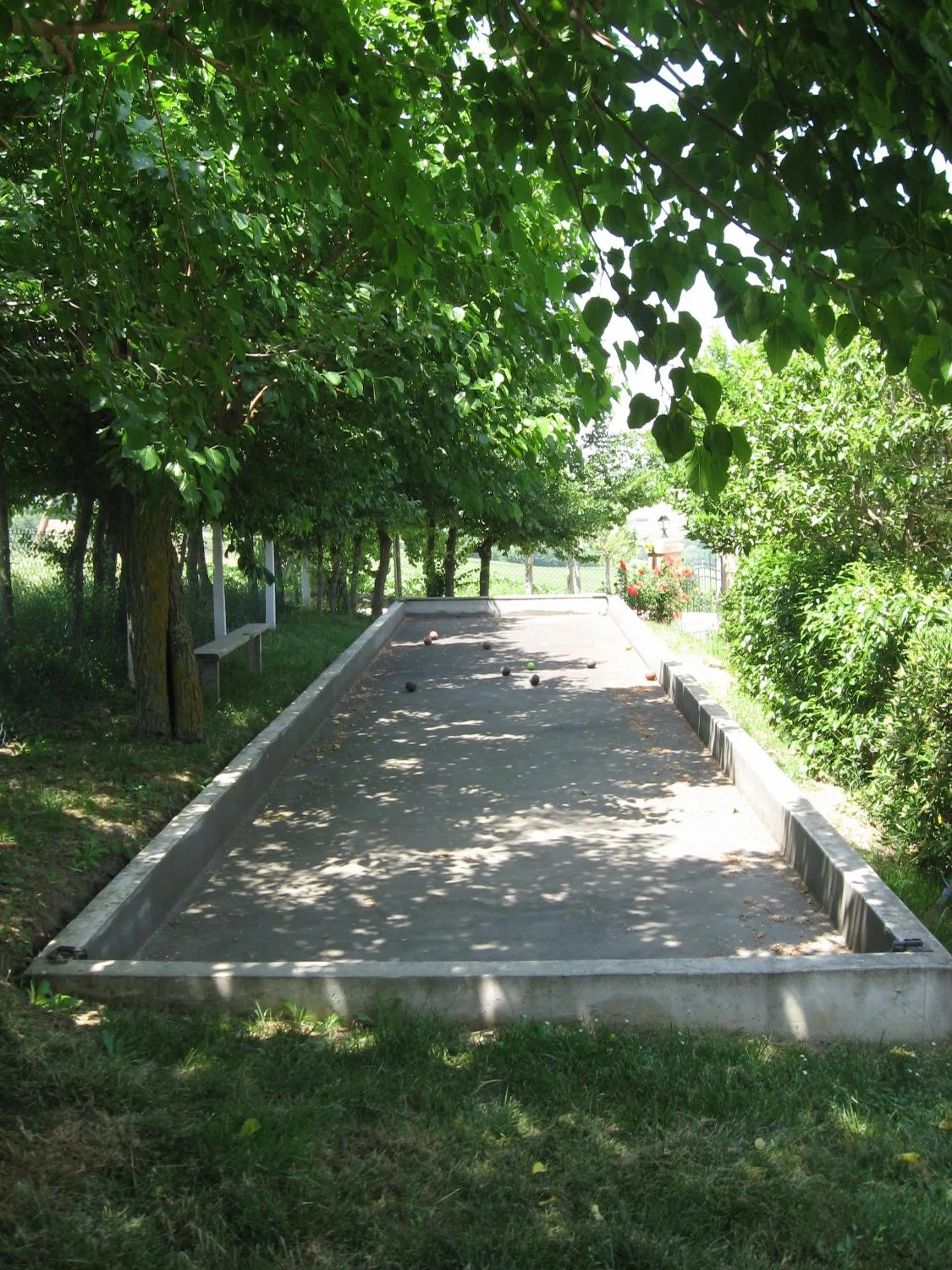 Garden in Il Giardino Degli Ulivi
