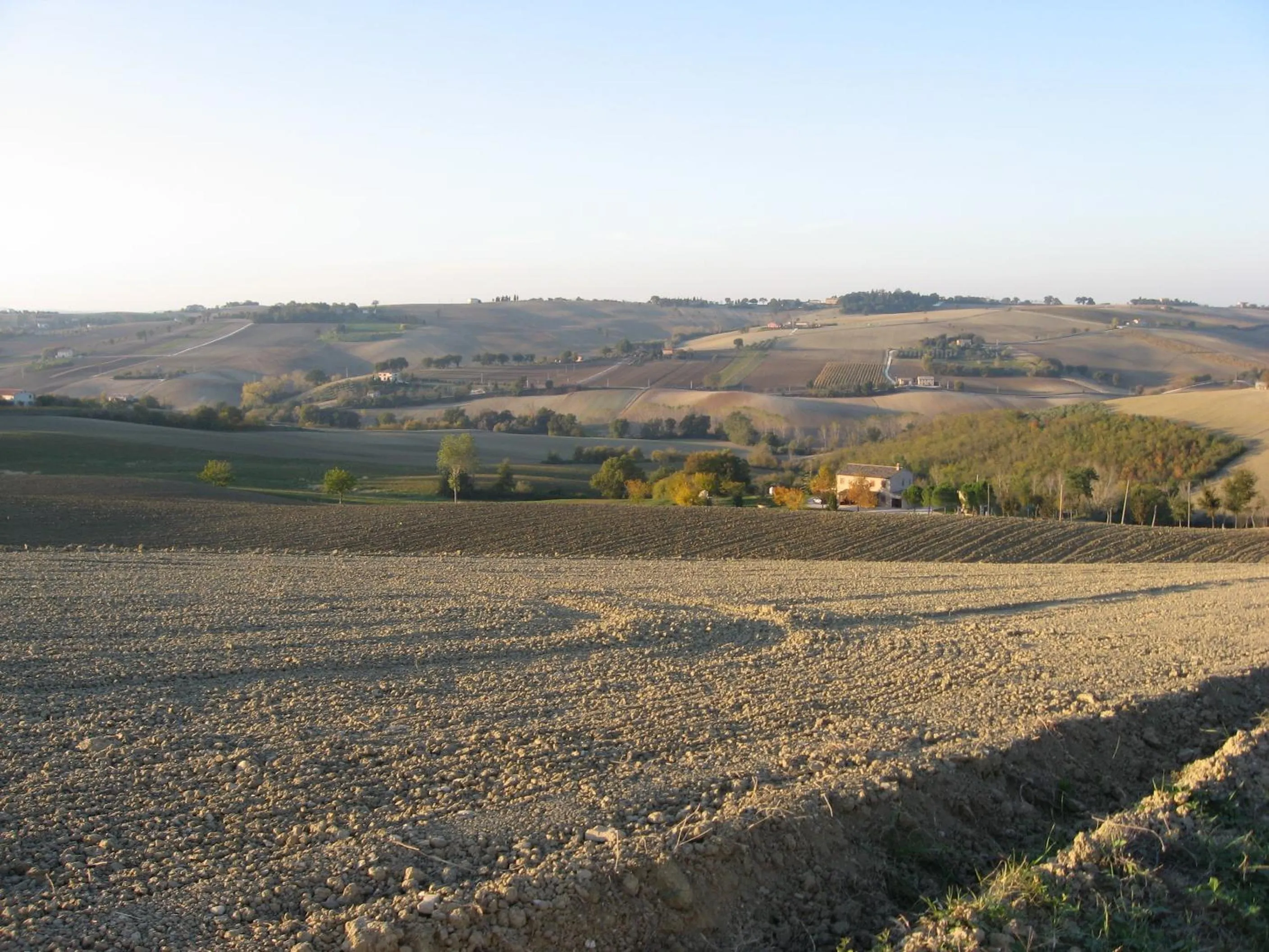 Natural landscape in Il Giardino Degli Ulivi