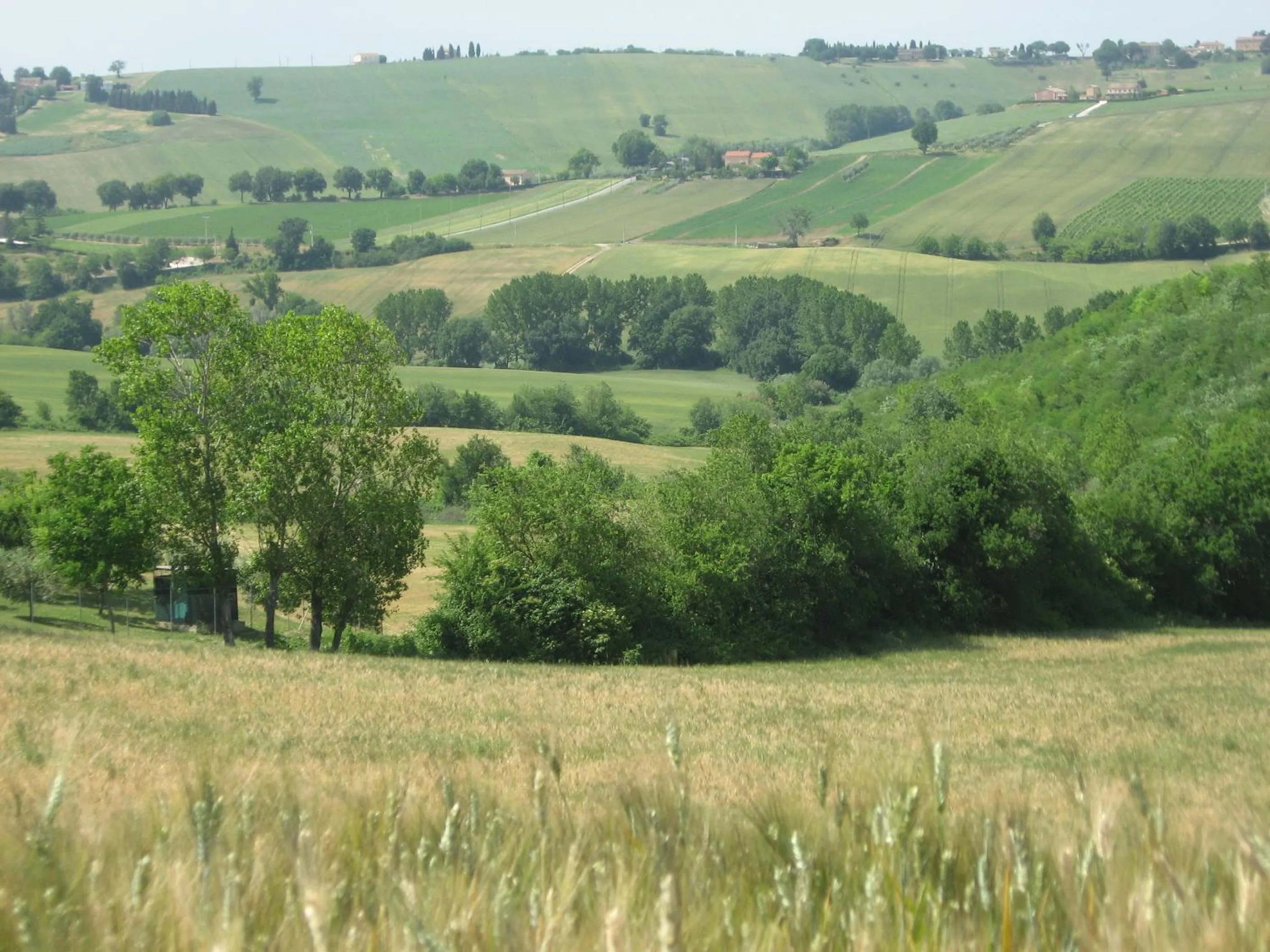 Spring in Il Giardino Degli Ulivi