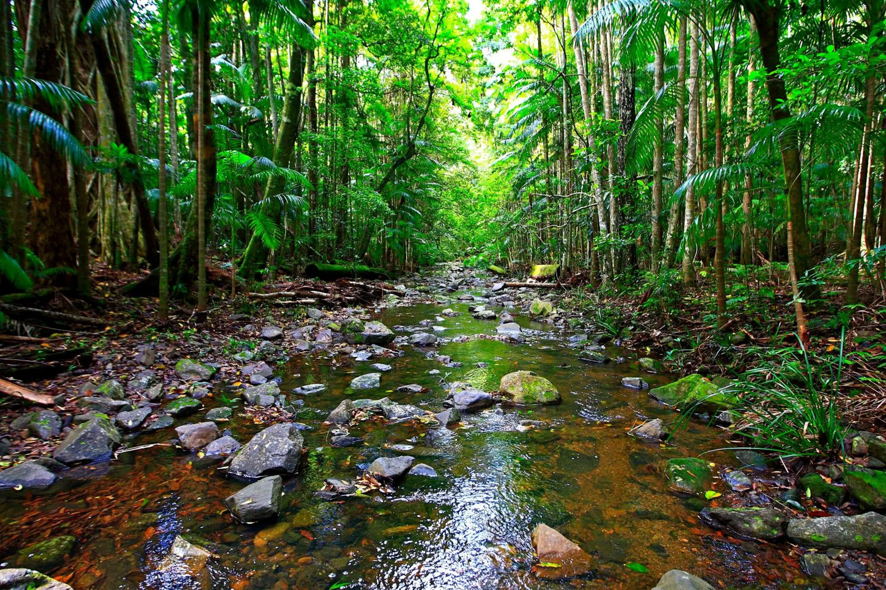 Natural landscape in Yarrahapinni Homestead