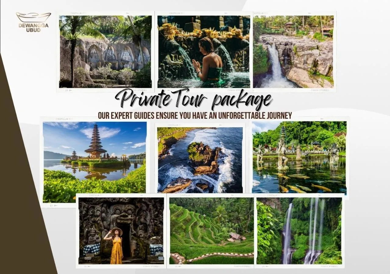 Activities in Dewangga Ubud