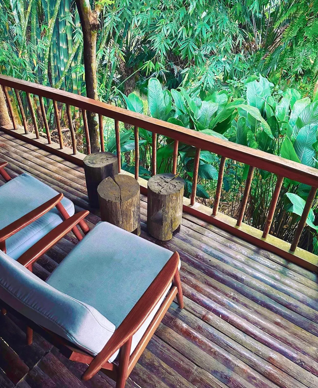 Natural landscape in PU LUONG BOUTIQUE GARDEN