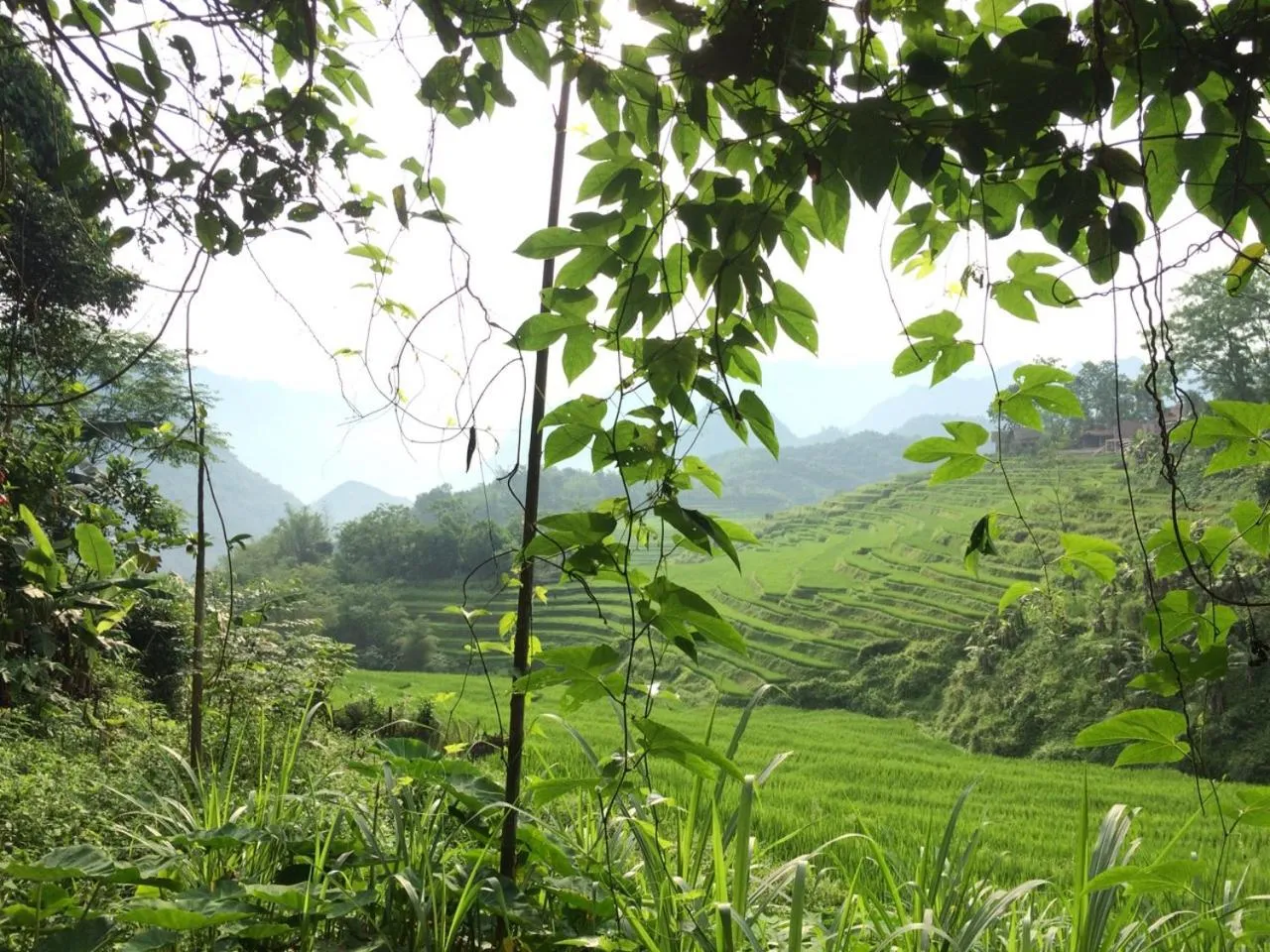 Property building in PU LUONG BOUTIQUE GARDEN