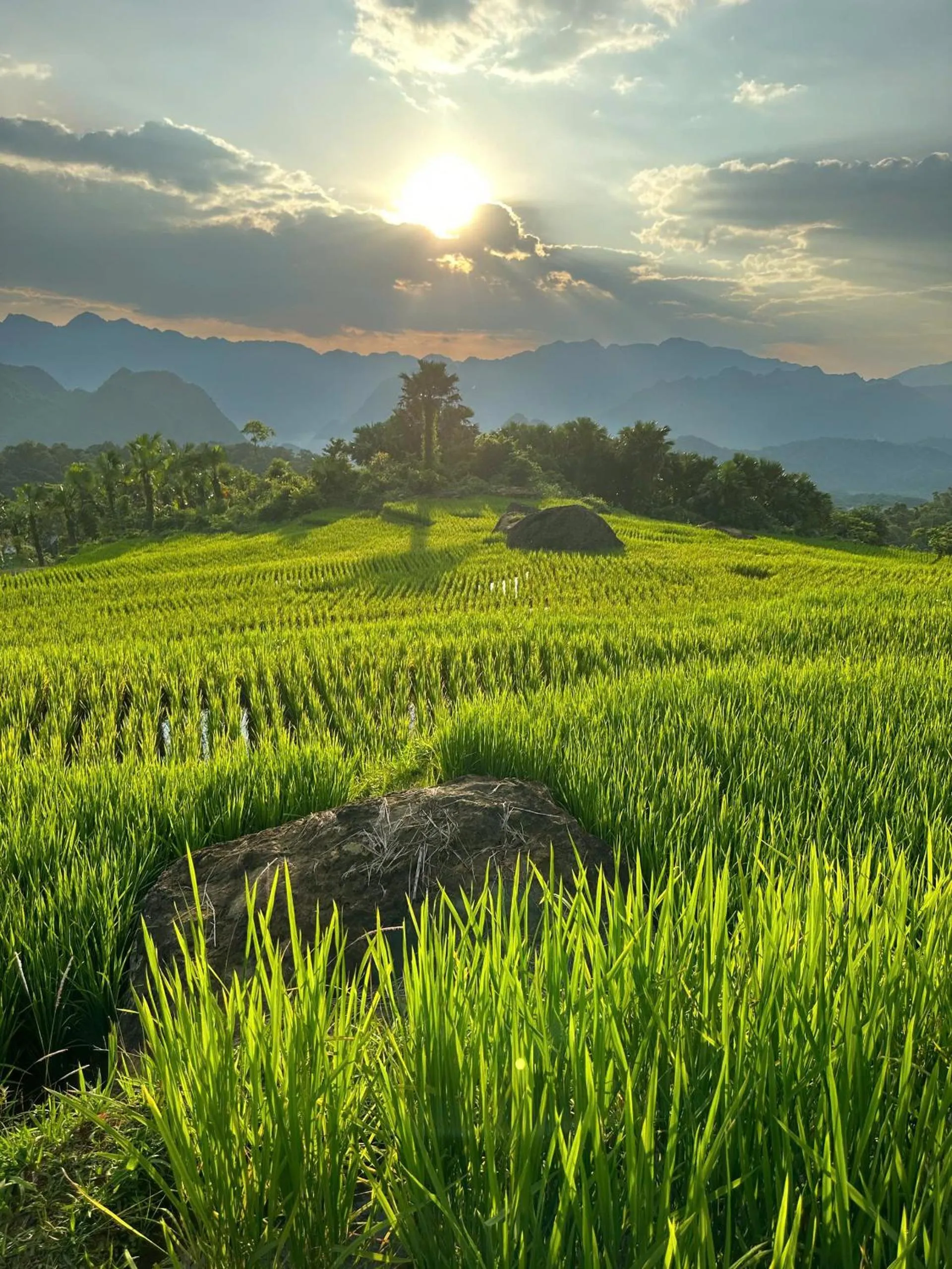 Natural landscape in PU LUONG BOUTIQUE GARDEN