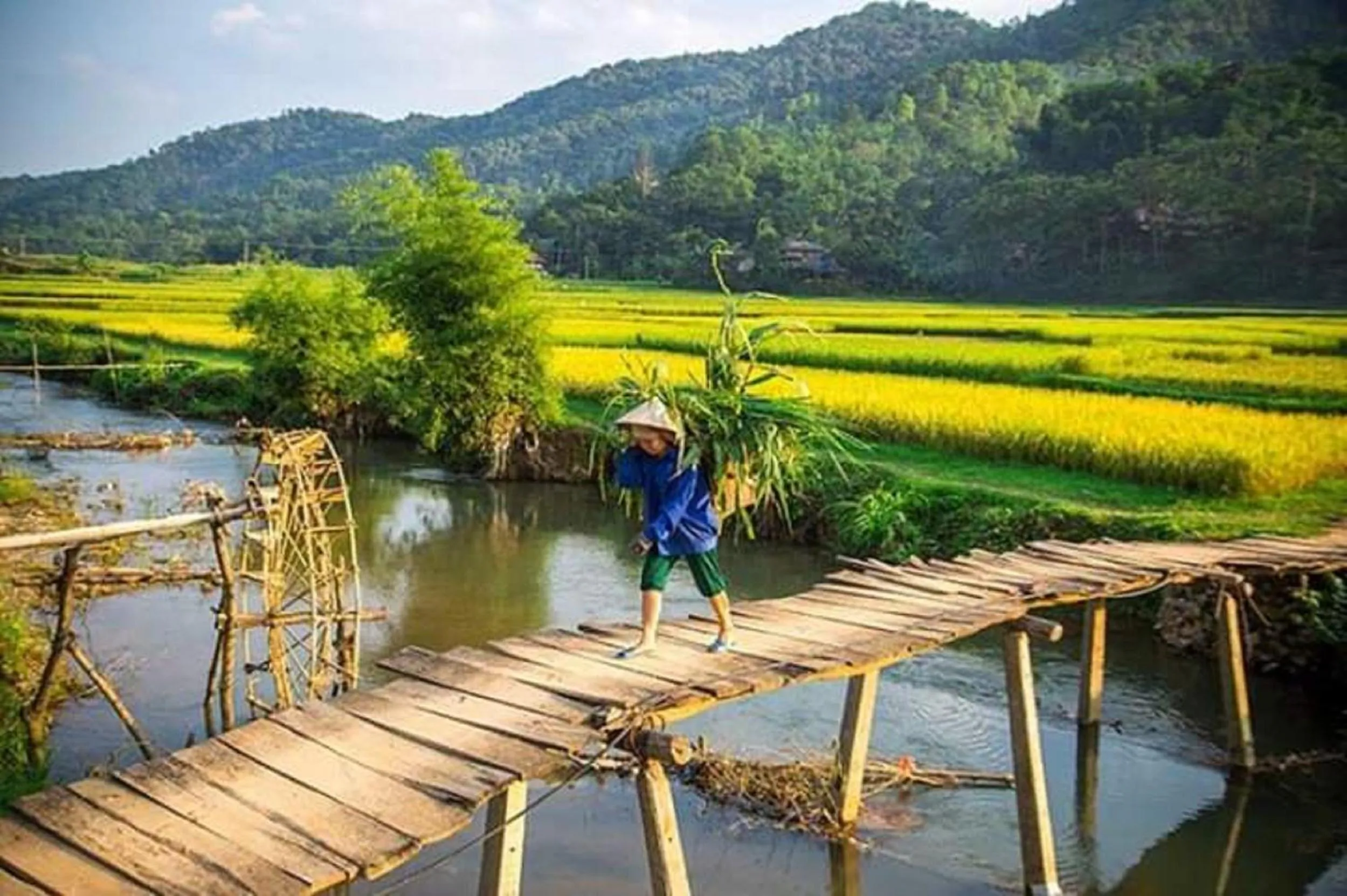 Natural landscape in PU LUONG BOUTIQUE GARDEN
