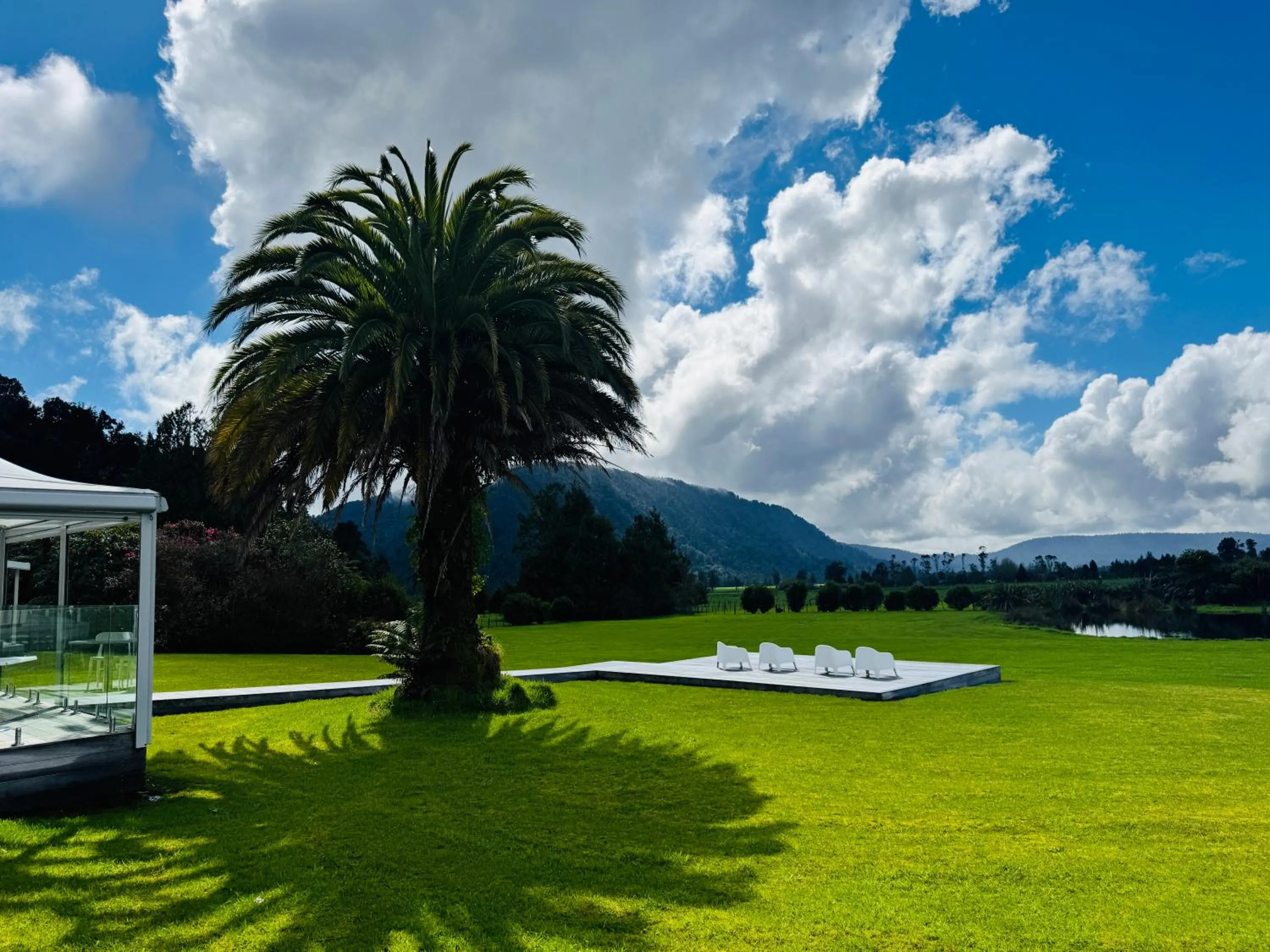 Natural landscape in Franz Josef Oasis