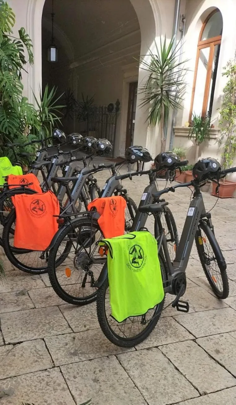 Cycling in Palazzo Degli Antoci