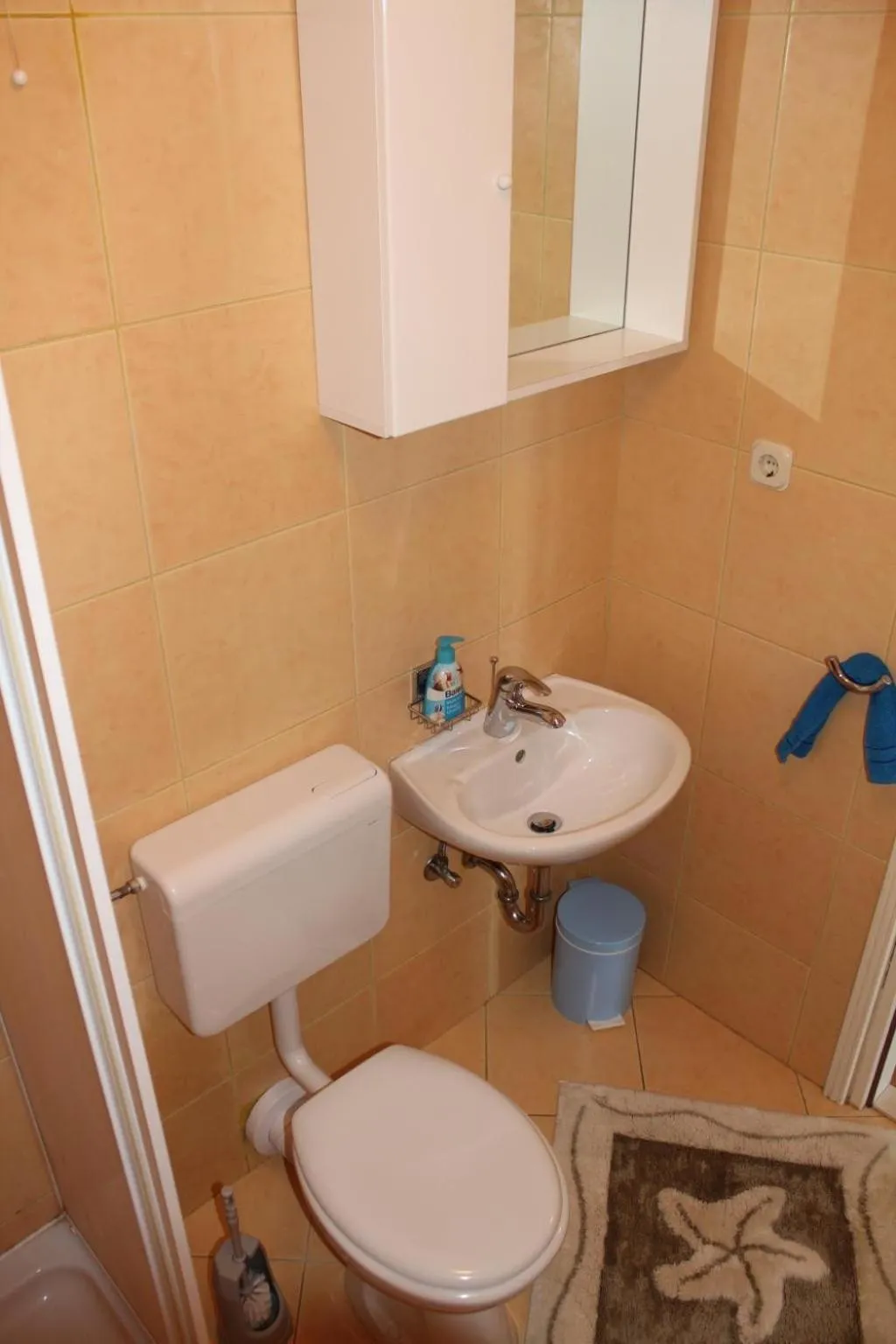 Bathroom in Apartments Lozica