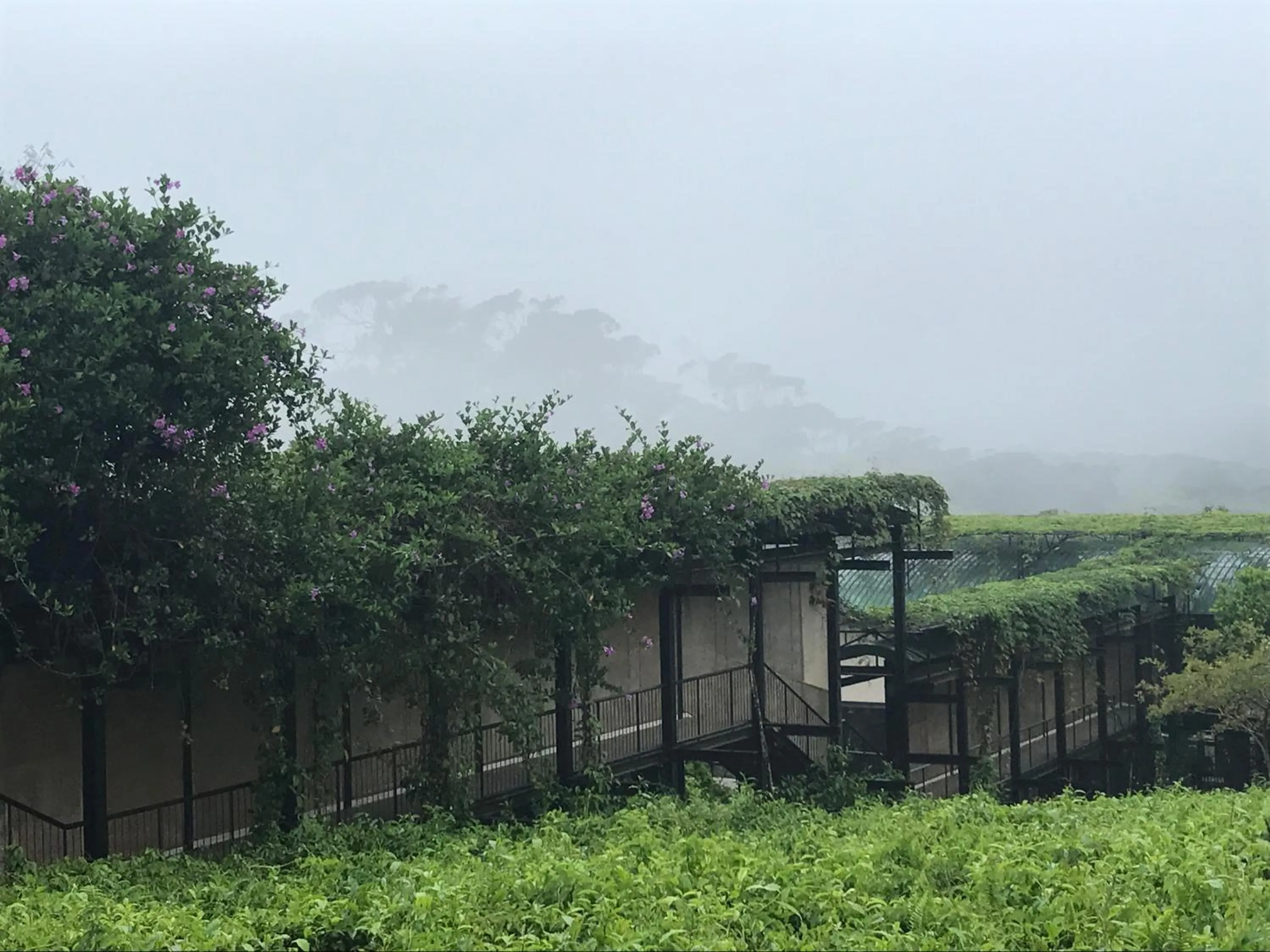 Facade/entrance in The Rainforest Ecolodge - Sinharaja with Shuttle Service from Car Park