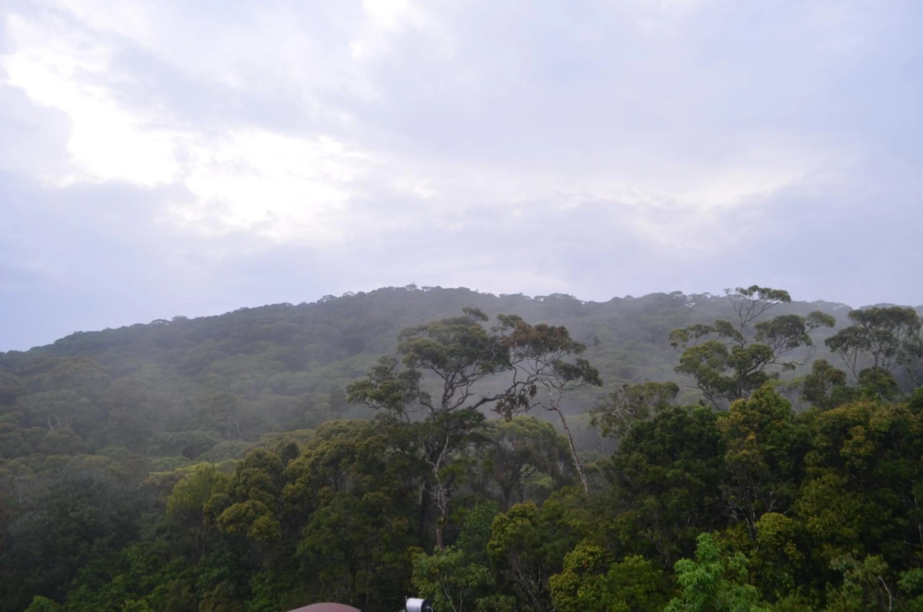 On site in The Rainforest Ecolodge - Sinharaja with Shuttle Service from Car Park