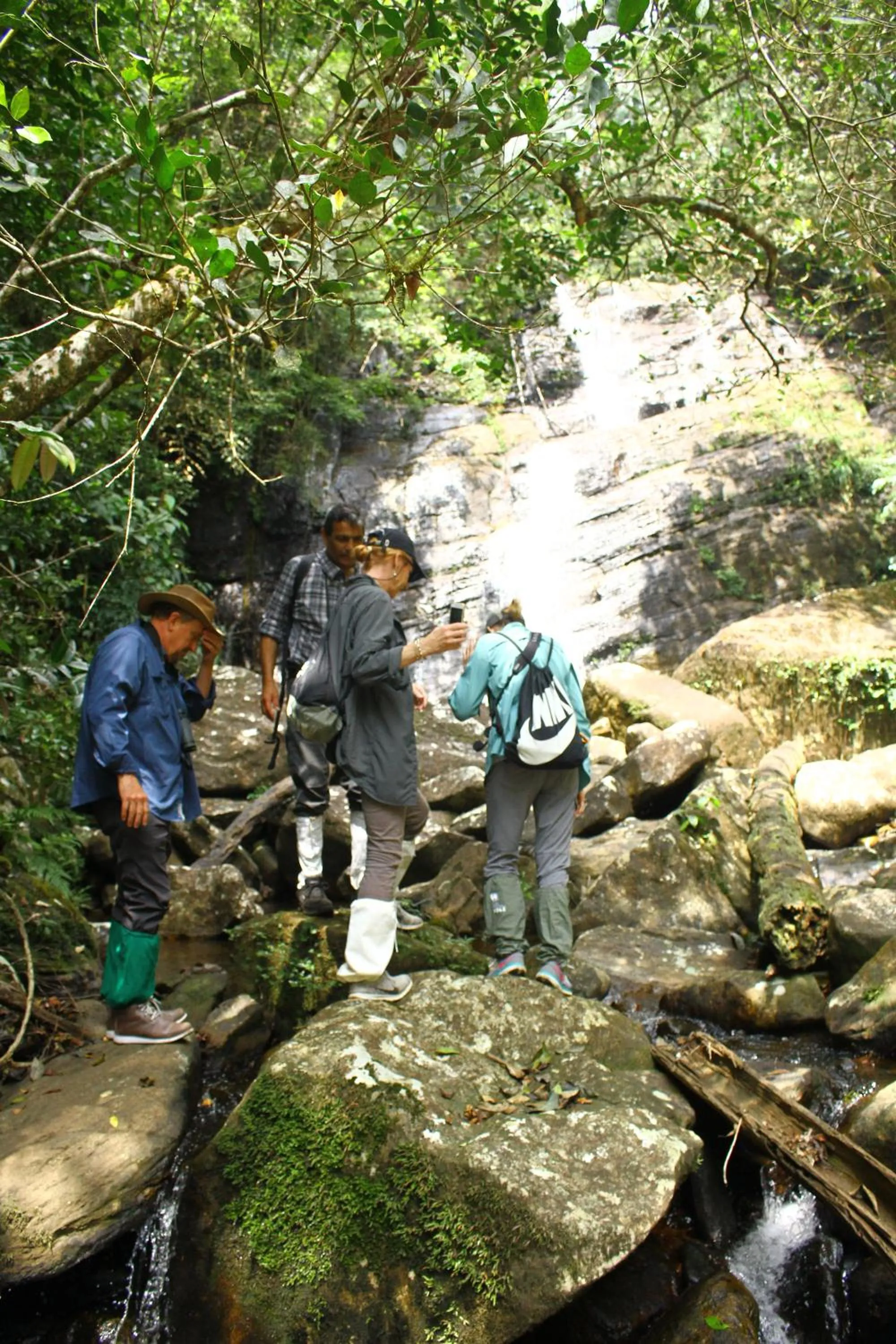 On site in The Rainforest Ecolodge - Sinharaja with Shuttle Service from Car Park