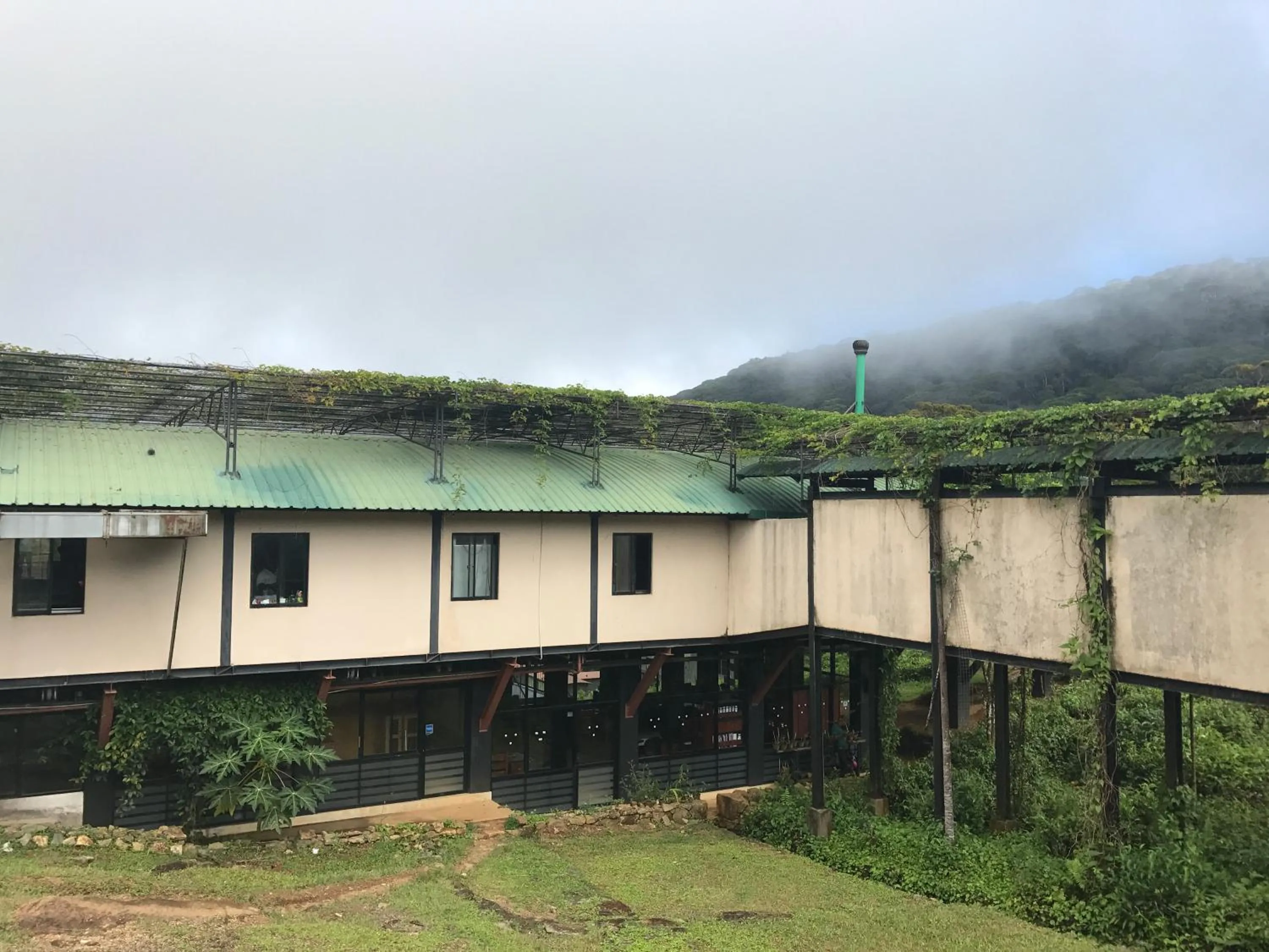 Facade/entrance in The Rainforest Ecolodge - Sinharaja with Shuttle Service from Car Park