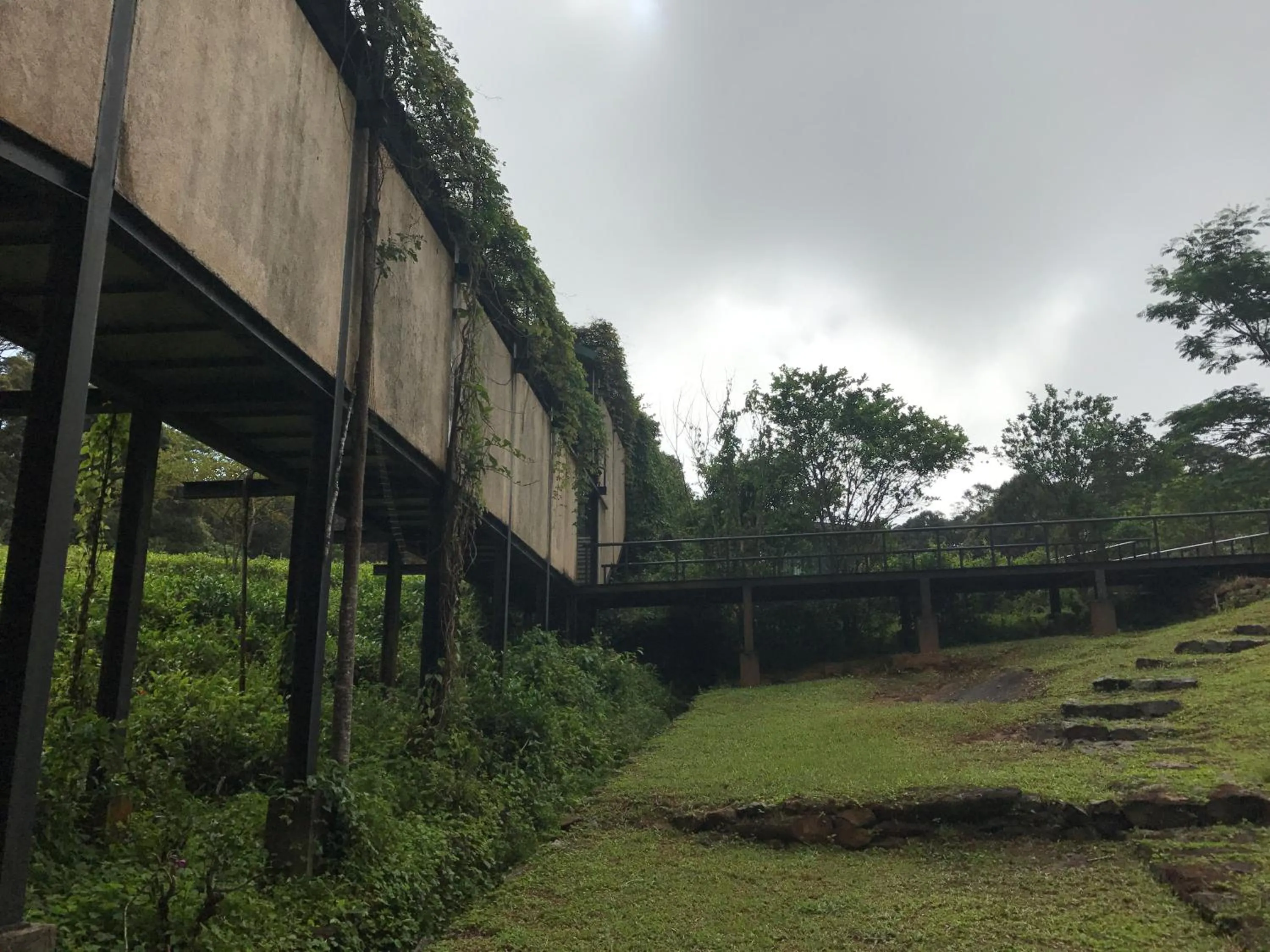Facade/entrance in The Rainforest Ecolodge - Sinharaja with Shuttle Service from Car Park