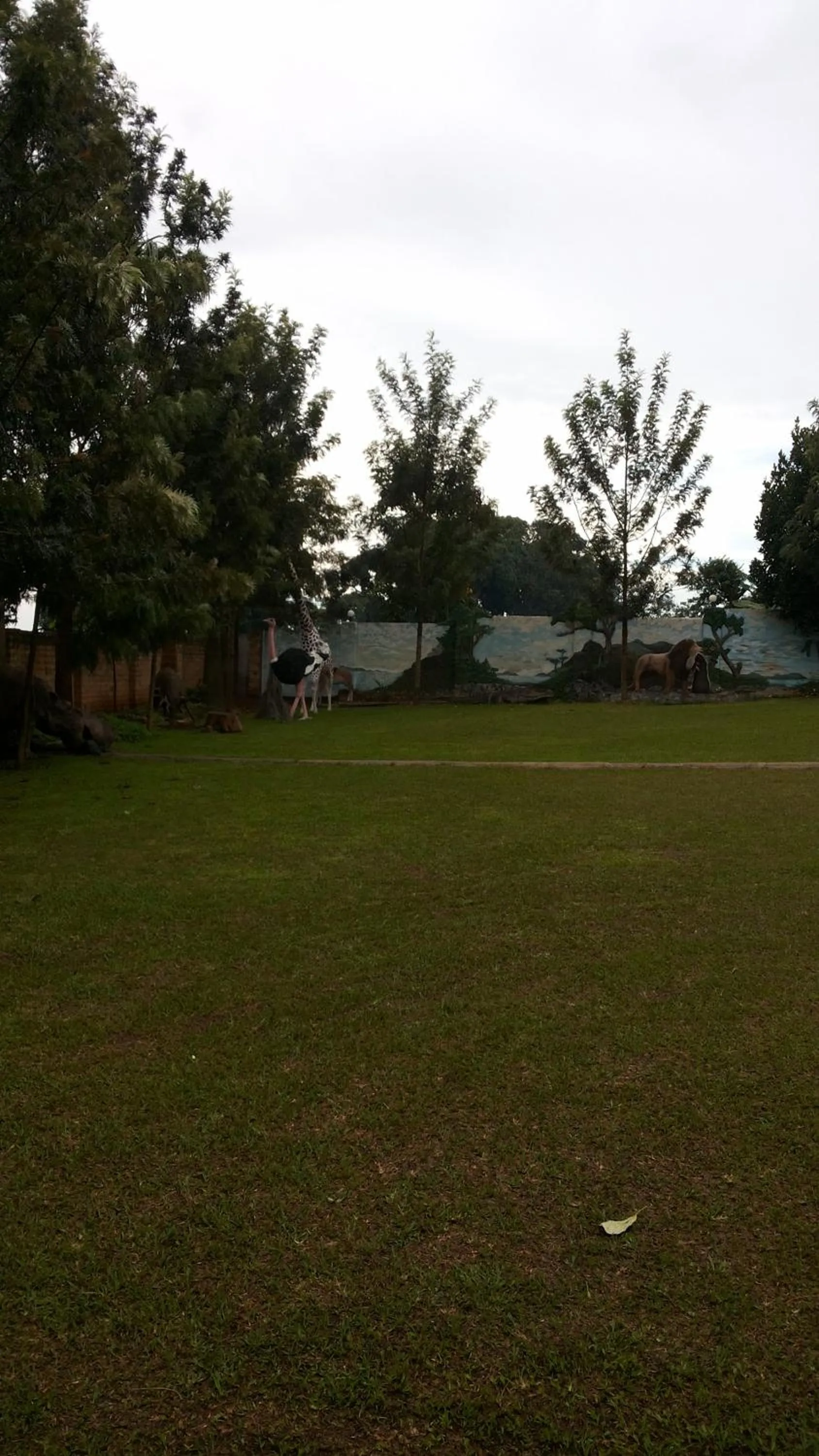 Natural landscape in MakanHill Resort Hotel