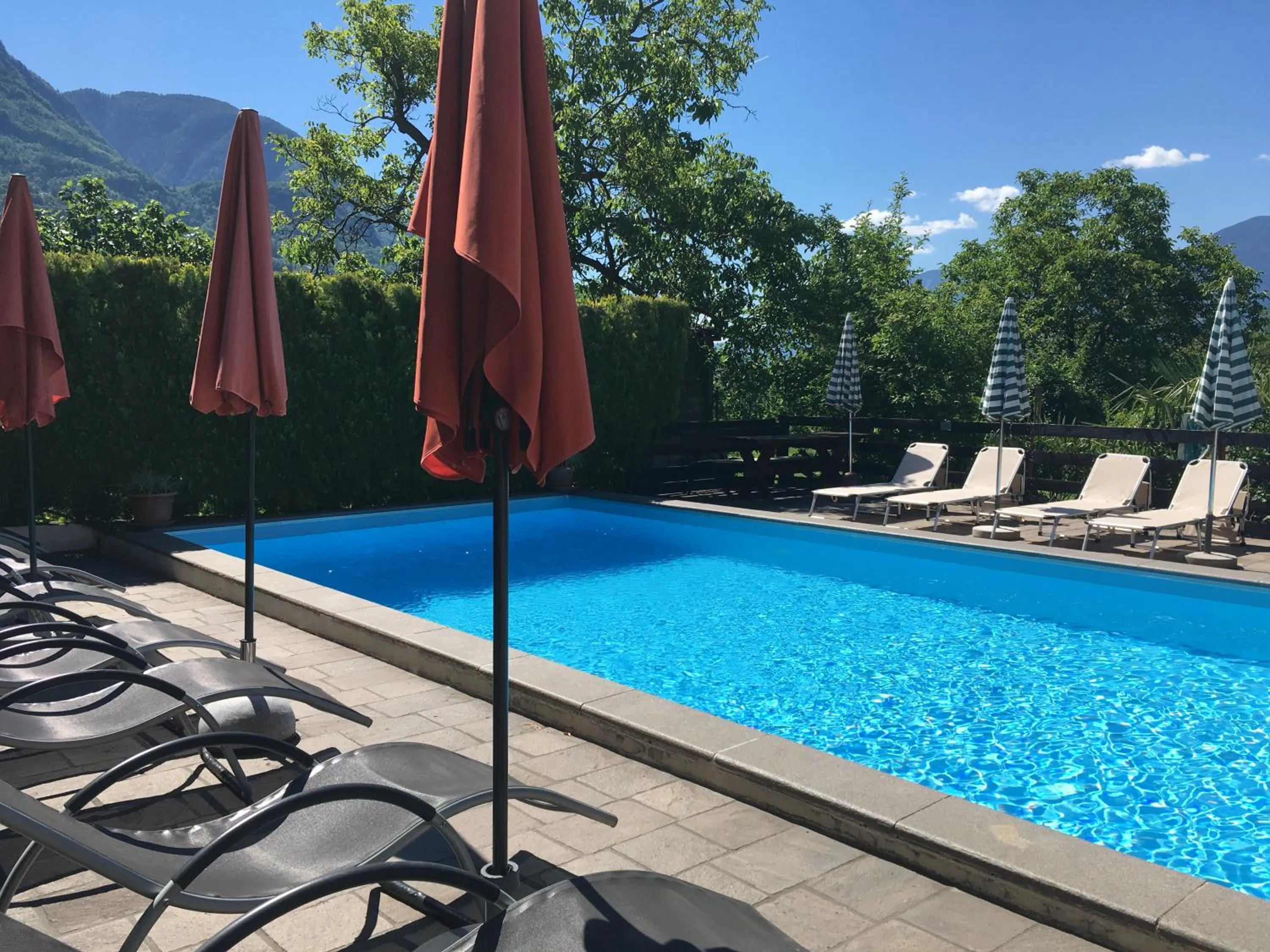 Swimming pool in Residence Bichler