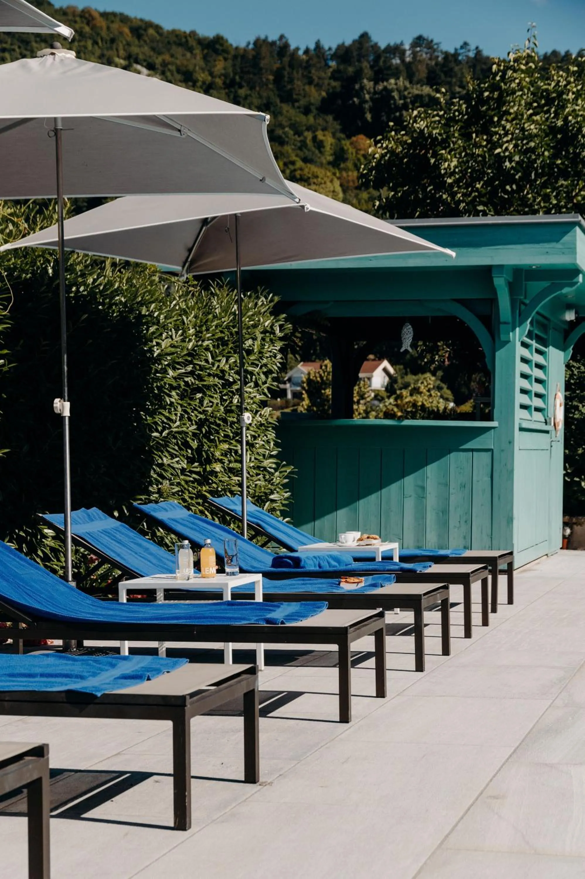 Swimming pool in Hotel Le Cottage Bise