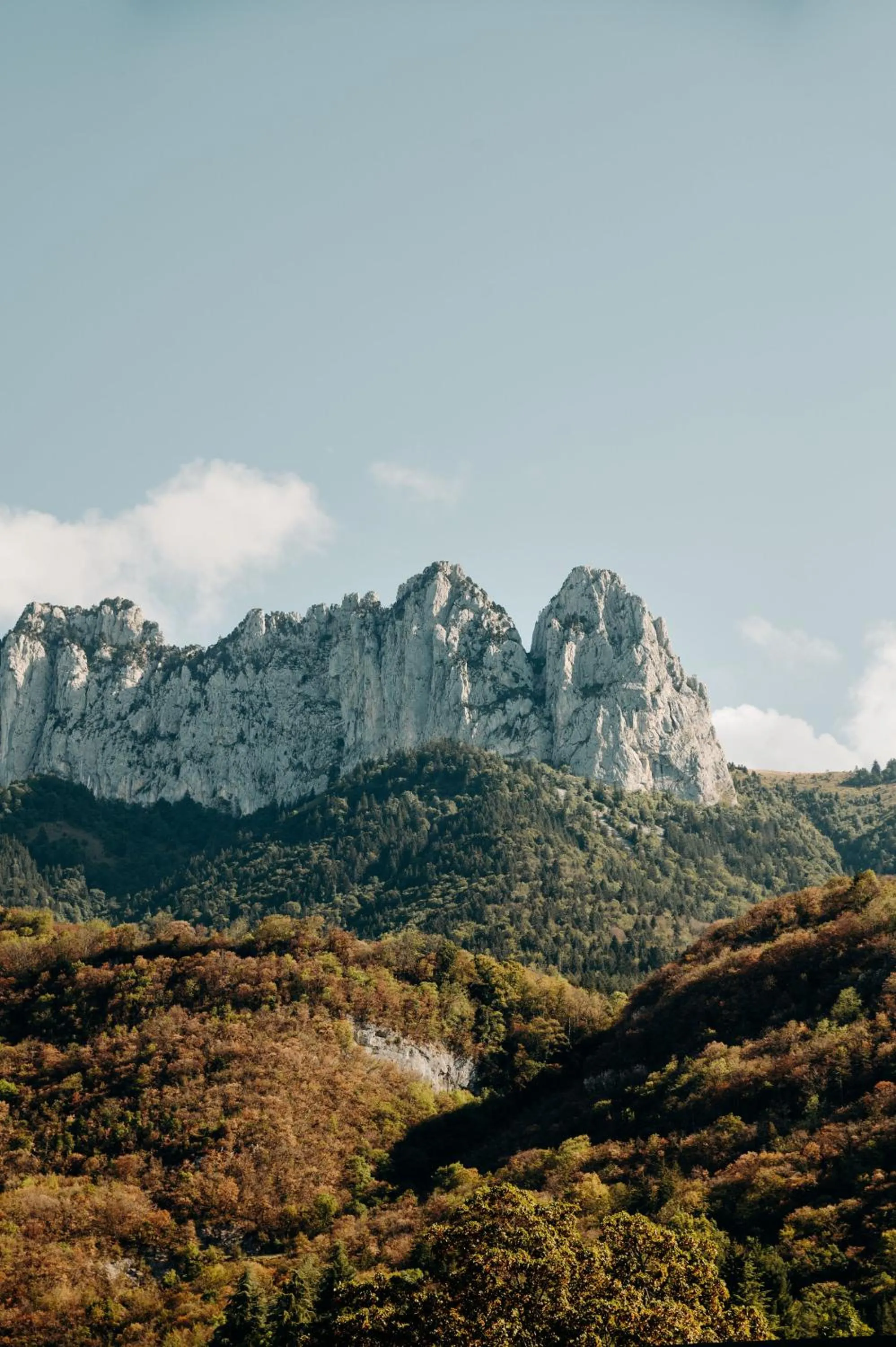 Mountain view in Hotel Le Cottage Bise