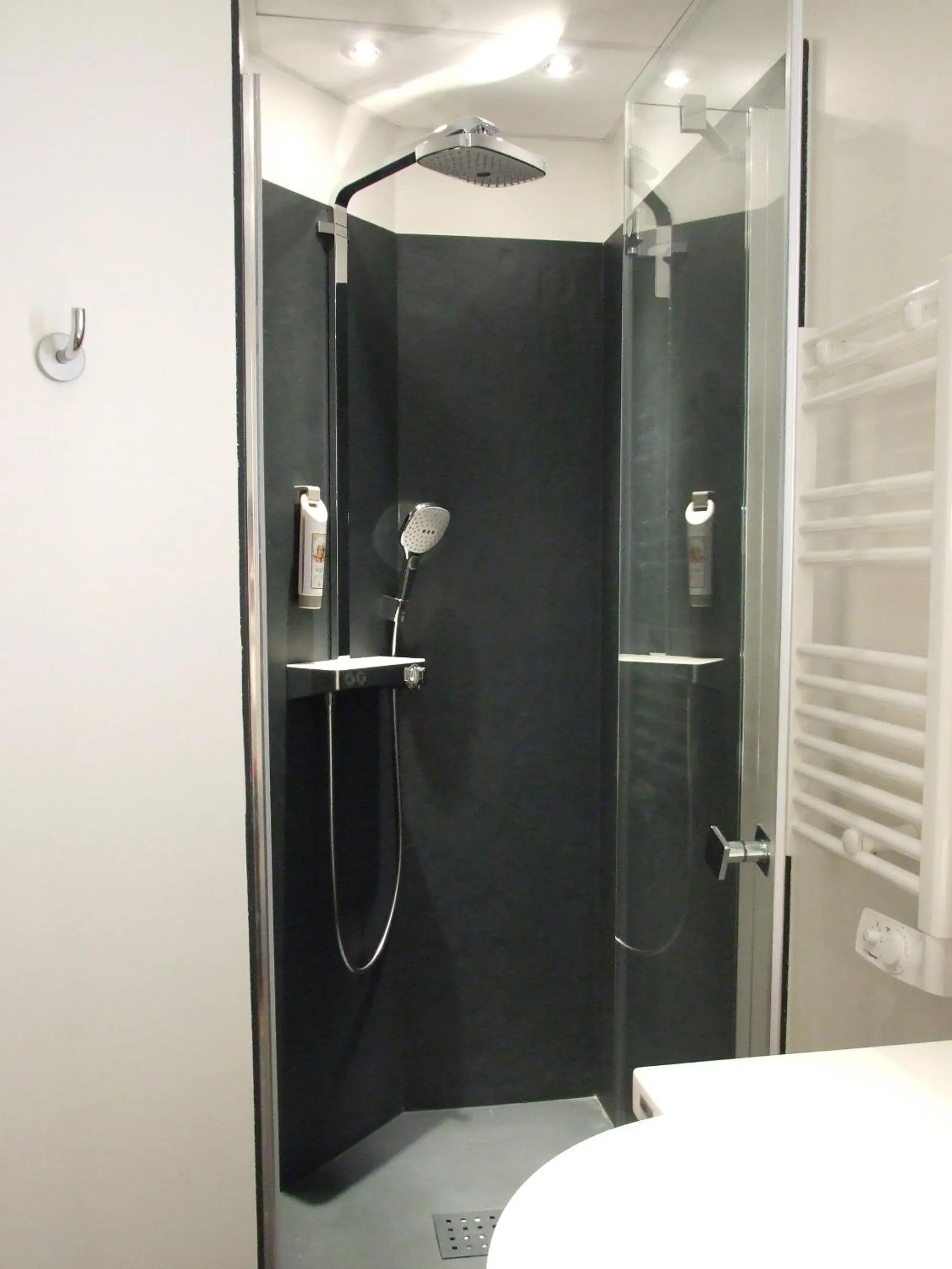 Shower in ibis Besançon Centre Ville