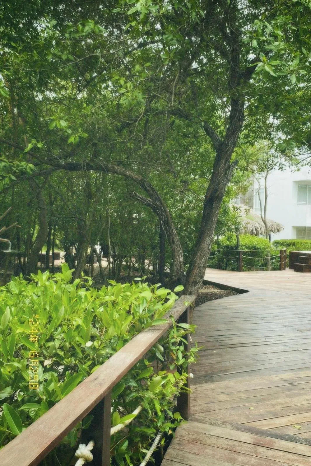 Garden in Santo Manglar Cartagena Life Wellness Spa Hotel