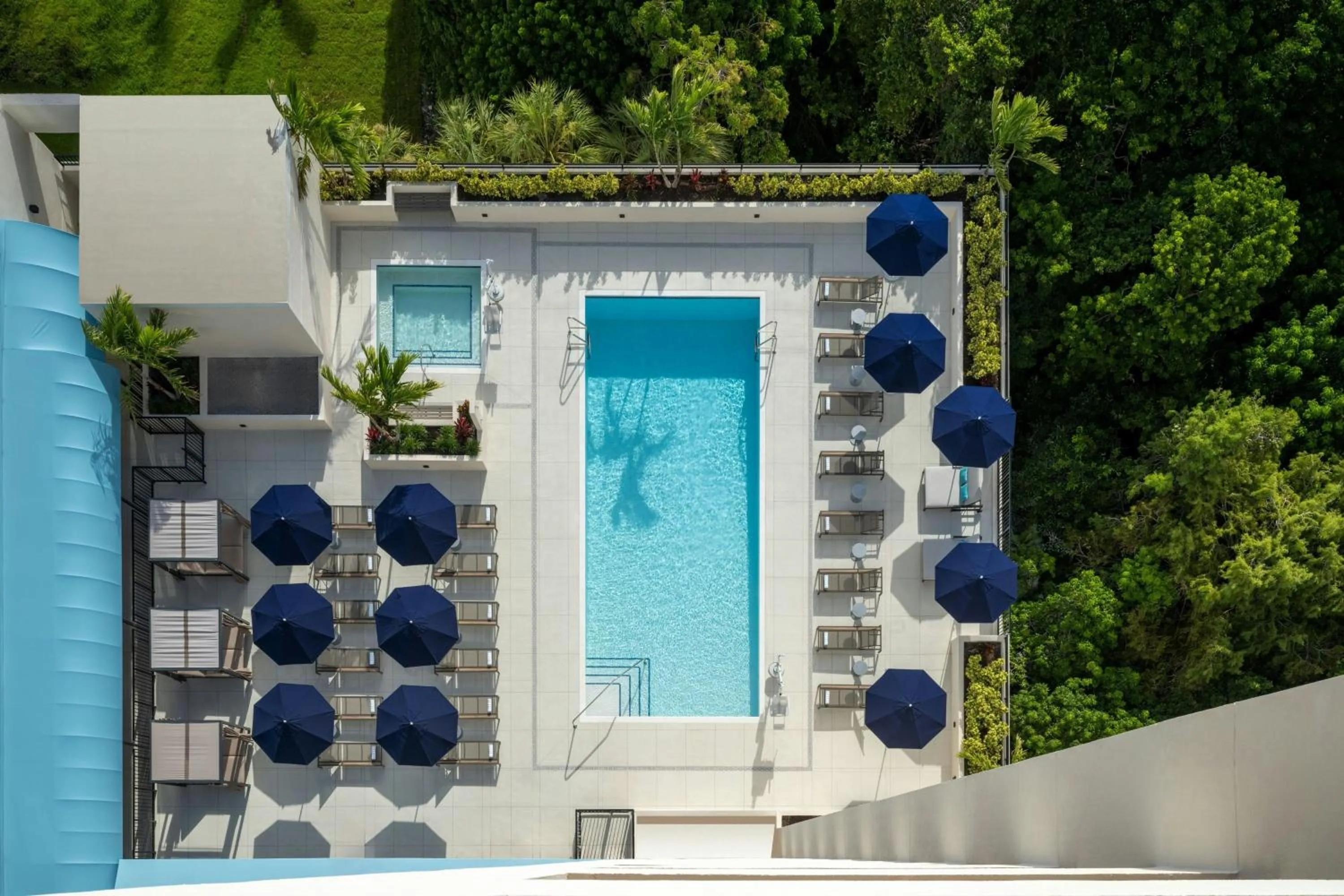 Swimming pool in Fort Lauderdale Marriott North