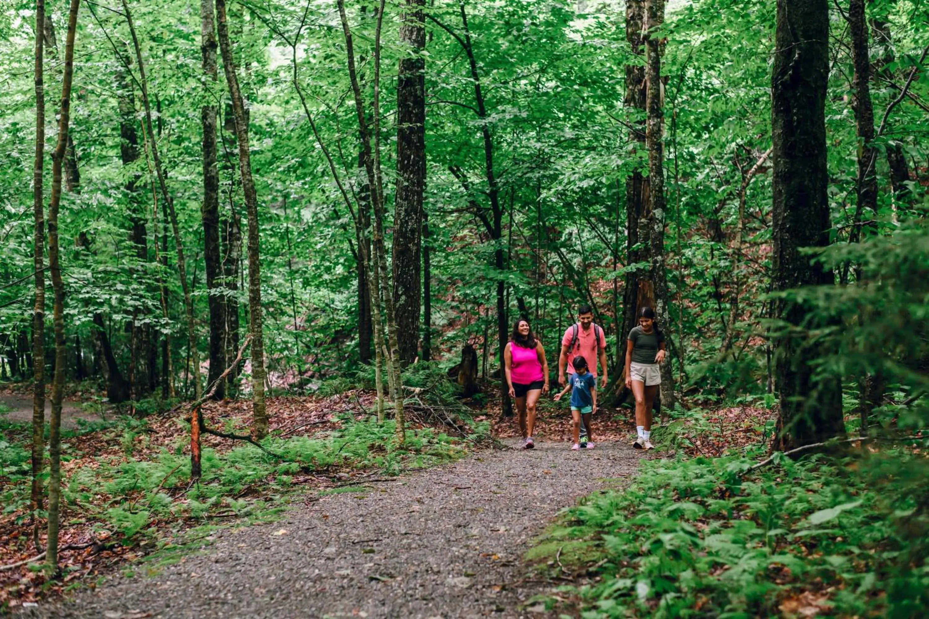 The Lodge at Spruce Peak, a Destination by Hyatt Residence