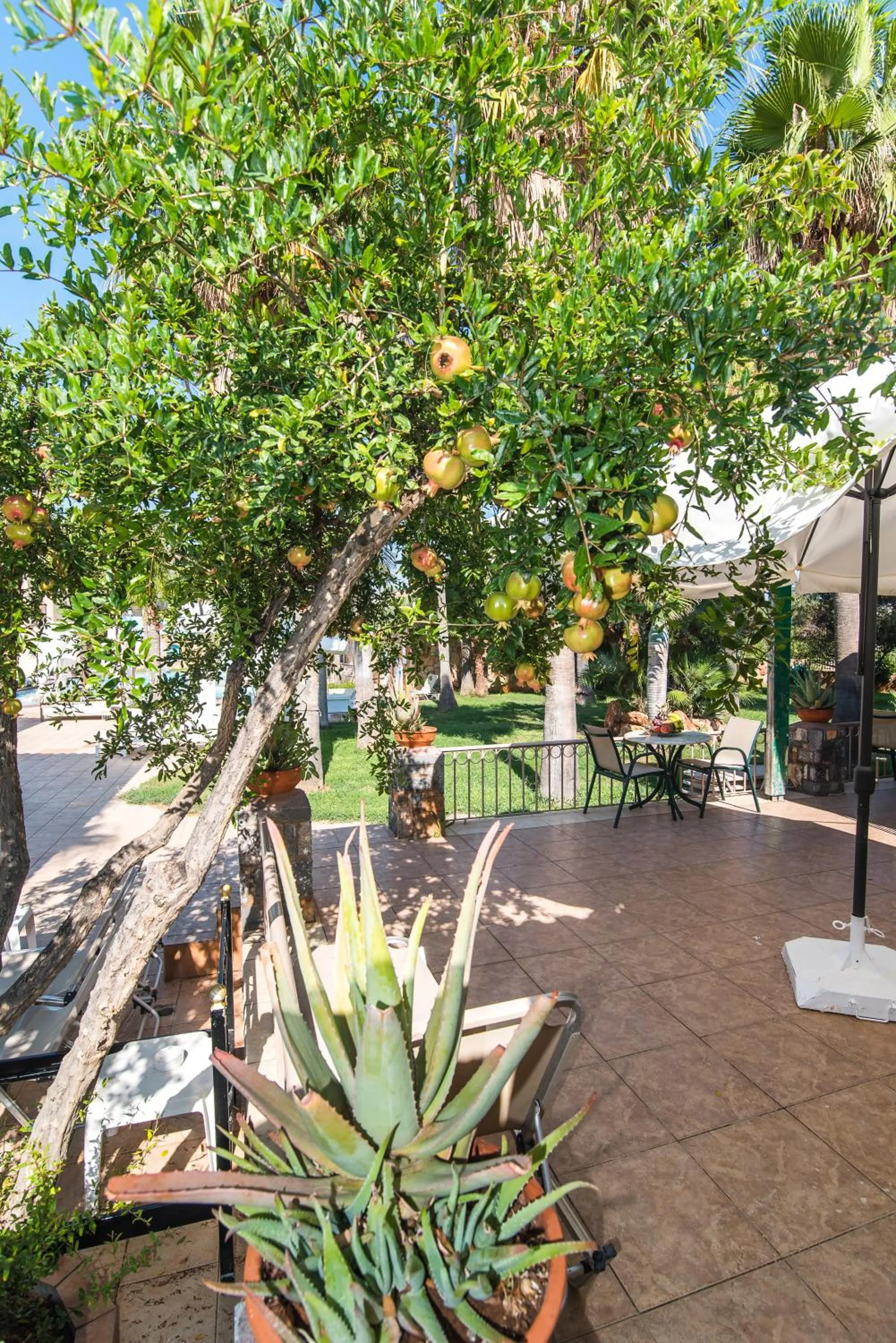 Property building in Oasis Studios