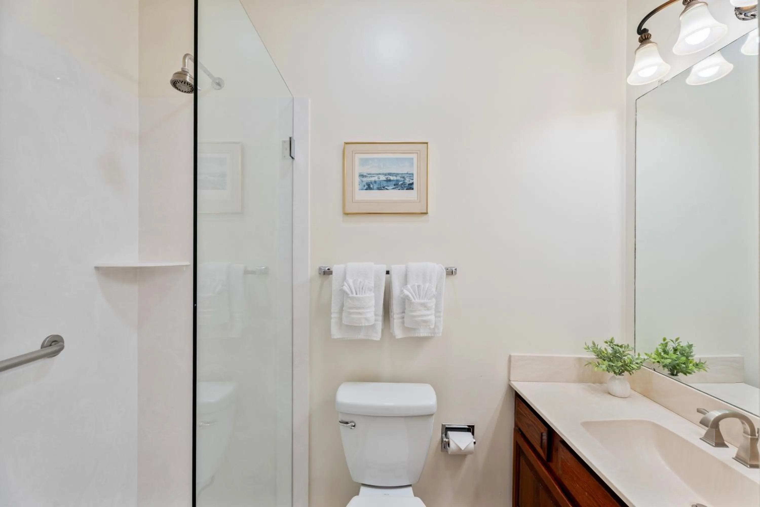 Shower in Grenoble House