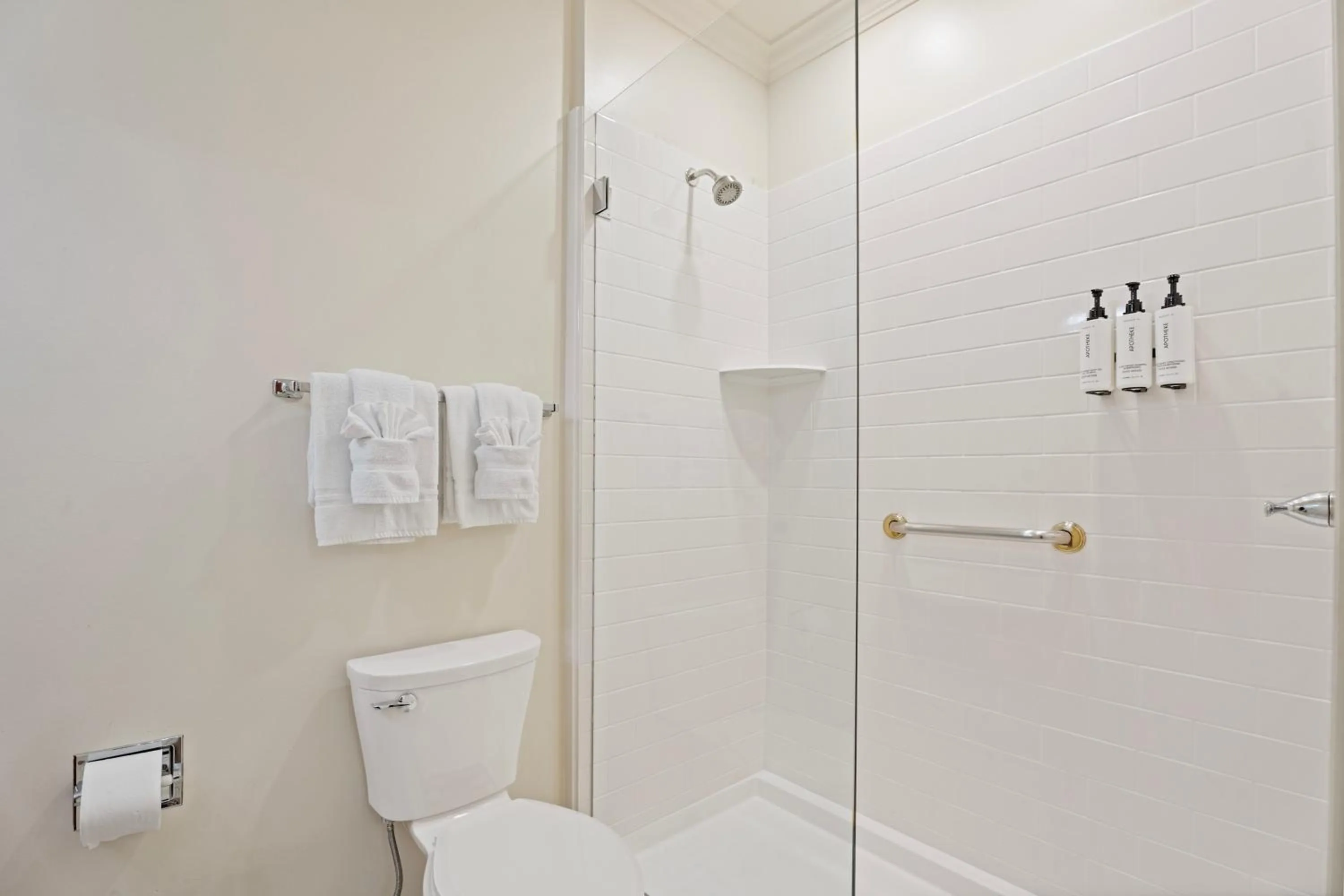 Shower in Grenoble House