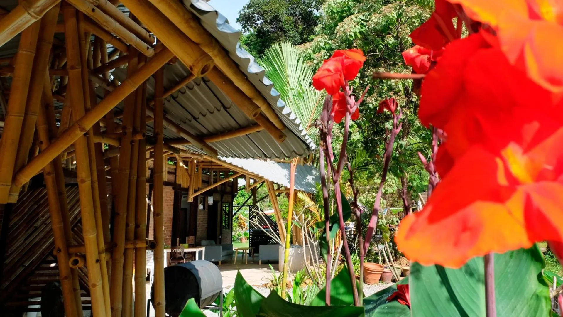 Balcony/Terrace in Bamboo Cottage Langkawi
