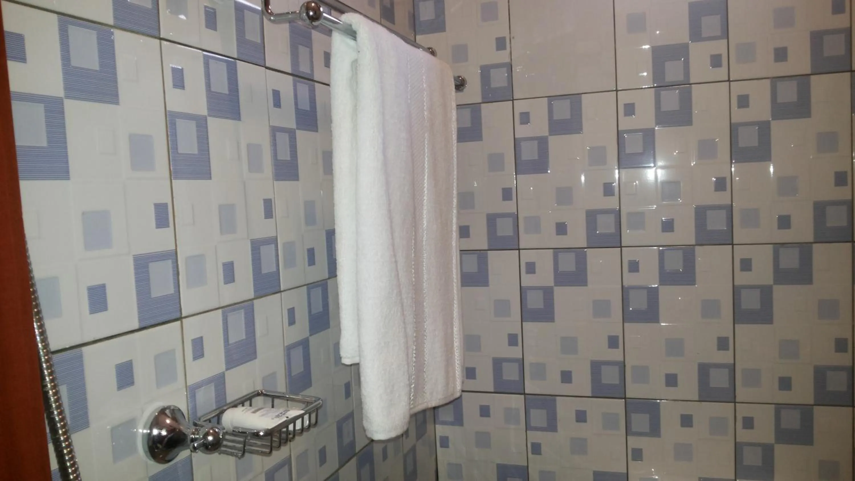 Bathroom in Hotel Skypa