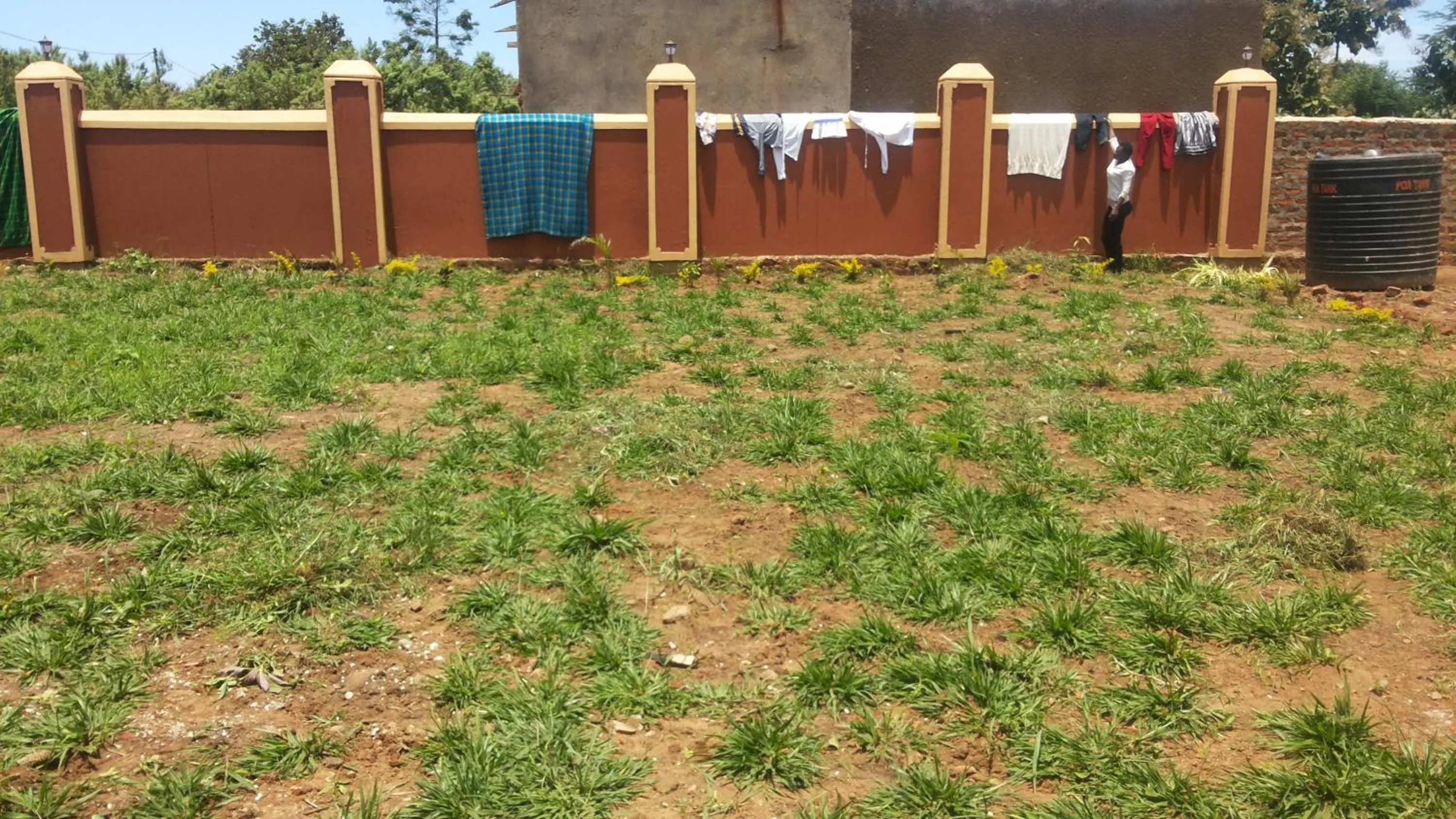 Garden in Hotel Skypa