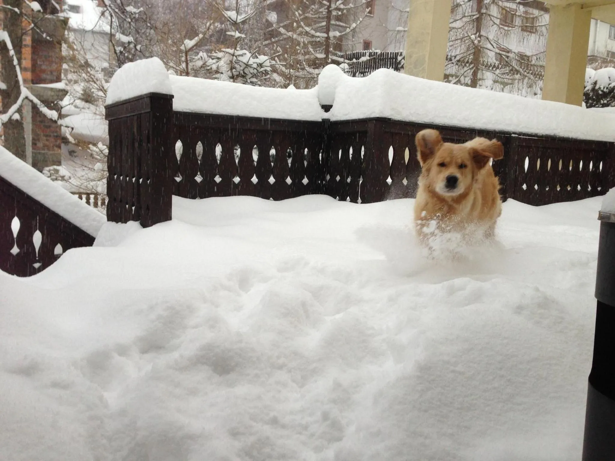 Balcony/Terrace in Pensjonat Kasia i Michał