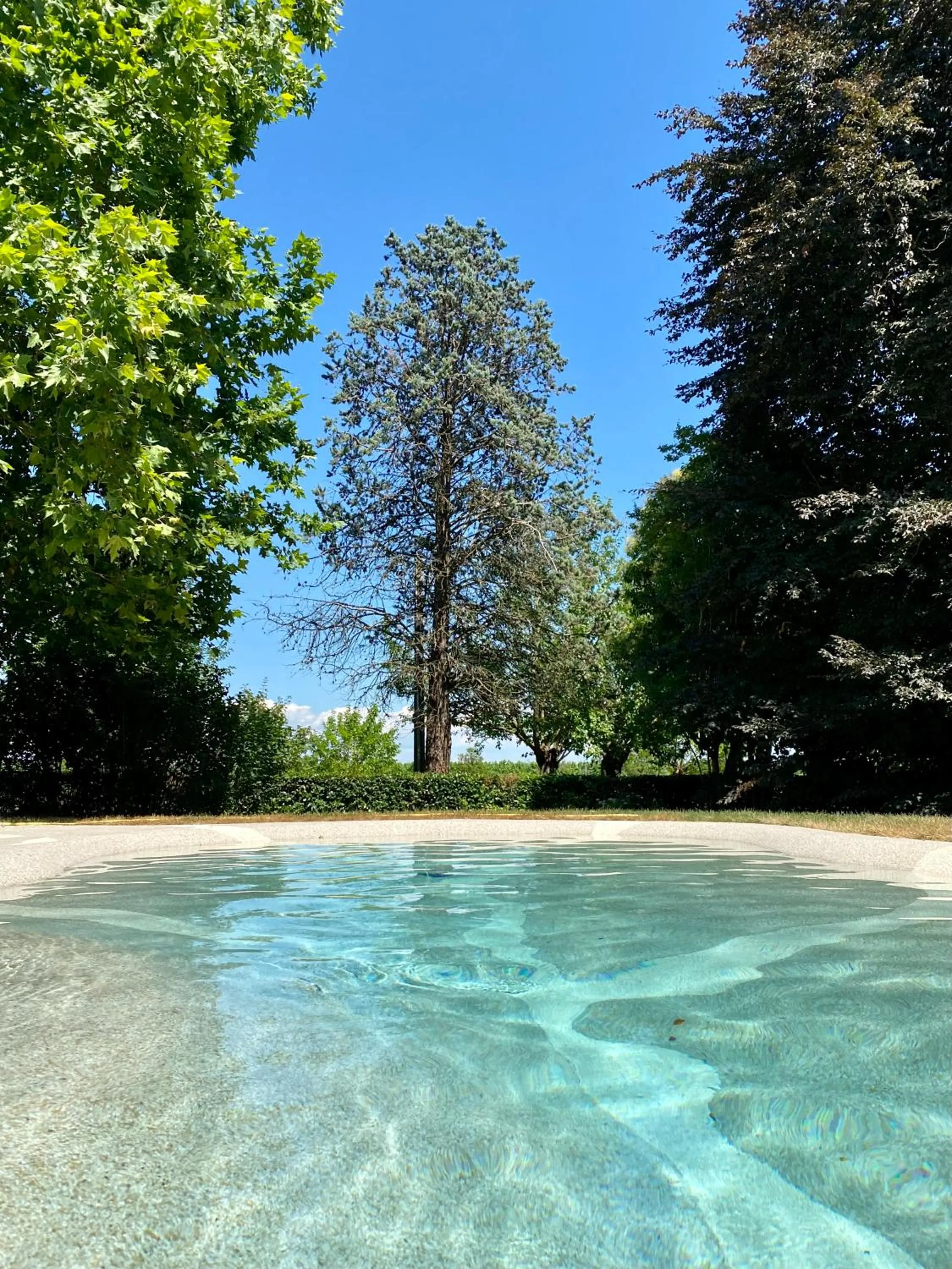Swimming pool in Al Vecchio Fienile