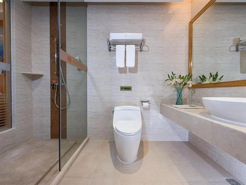 Vienna Hotel (Laibin North Station)