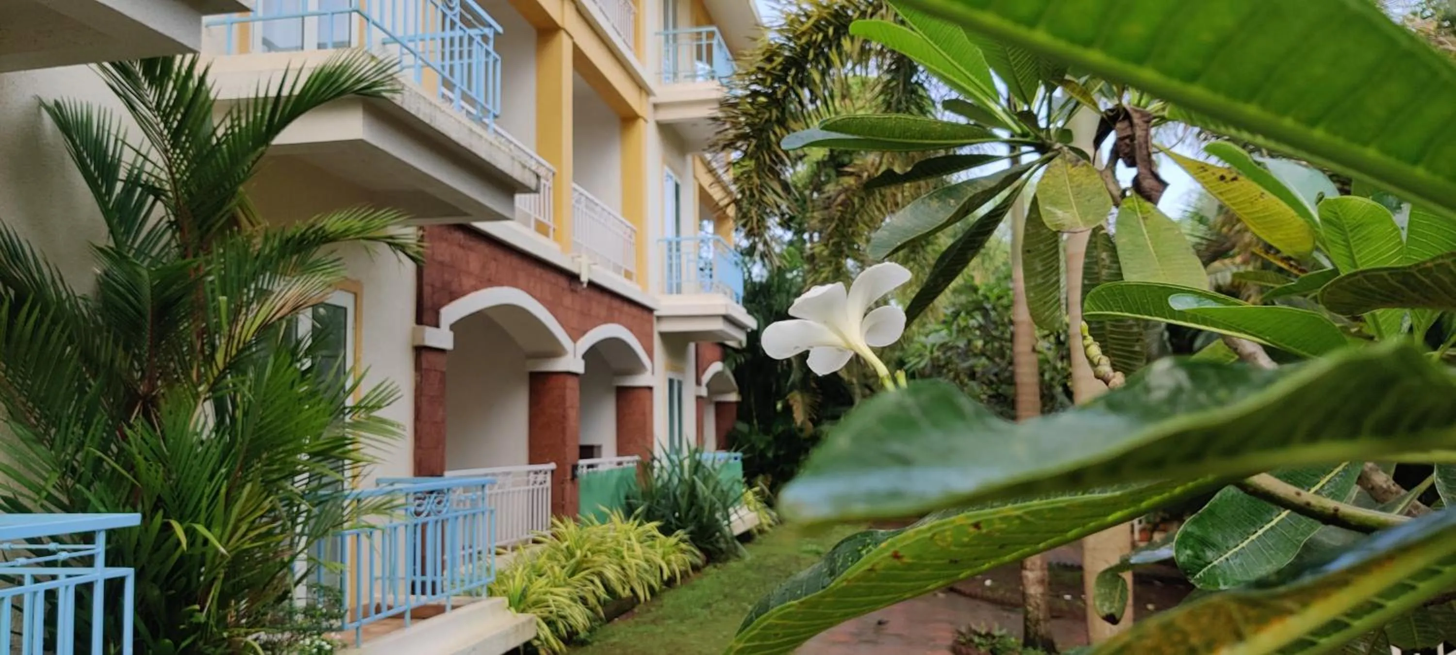 Property building in Passions de Goa