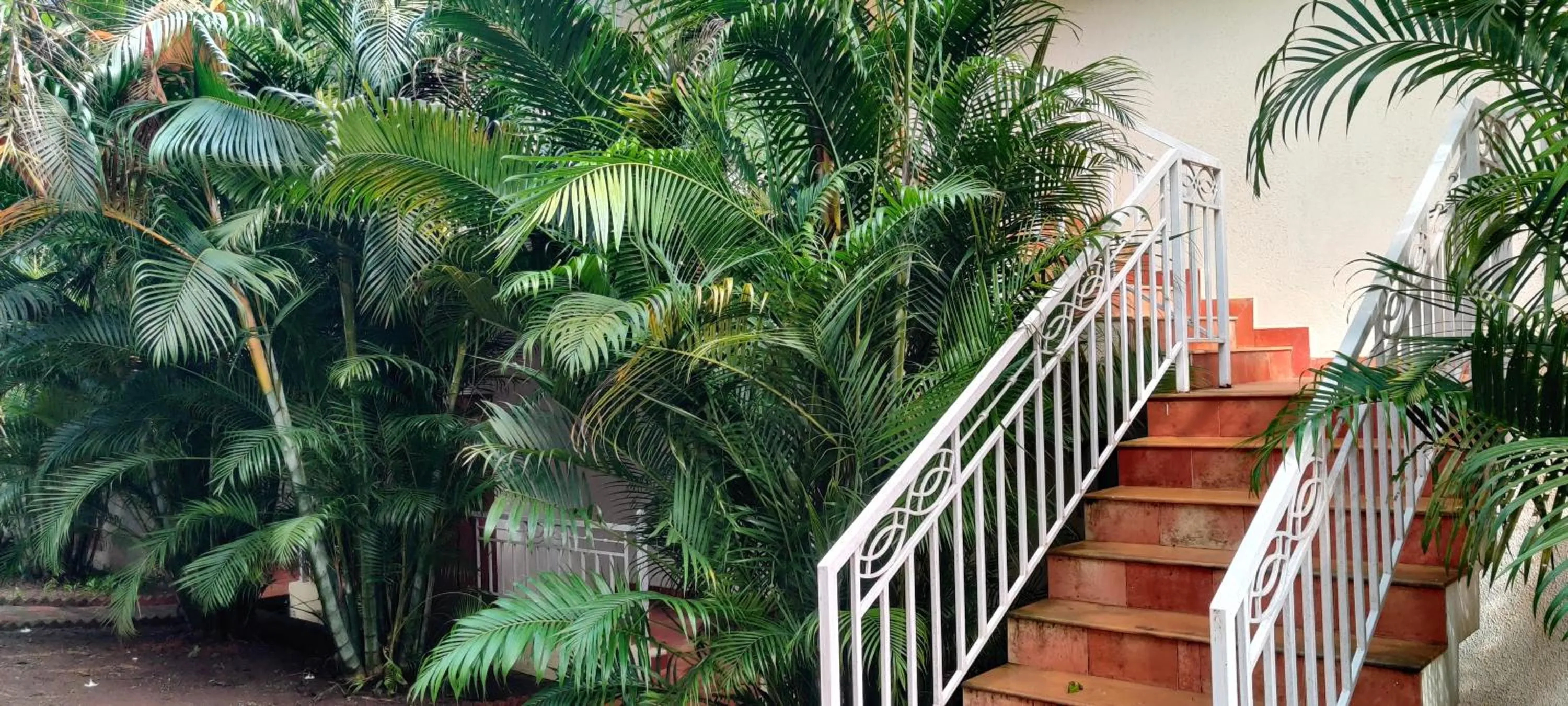 Property building in Passions de Goa