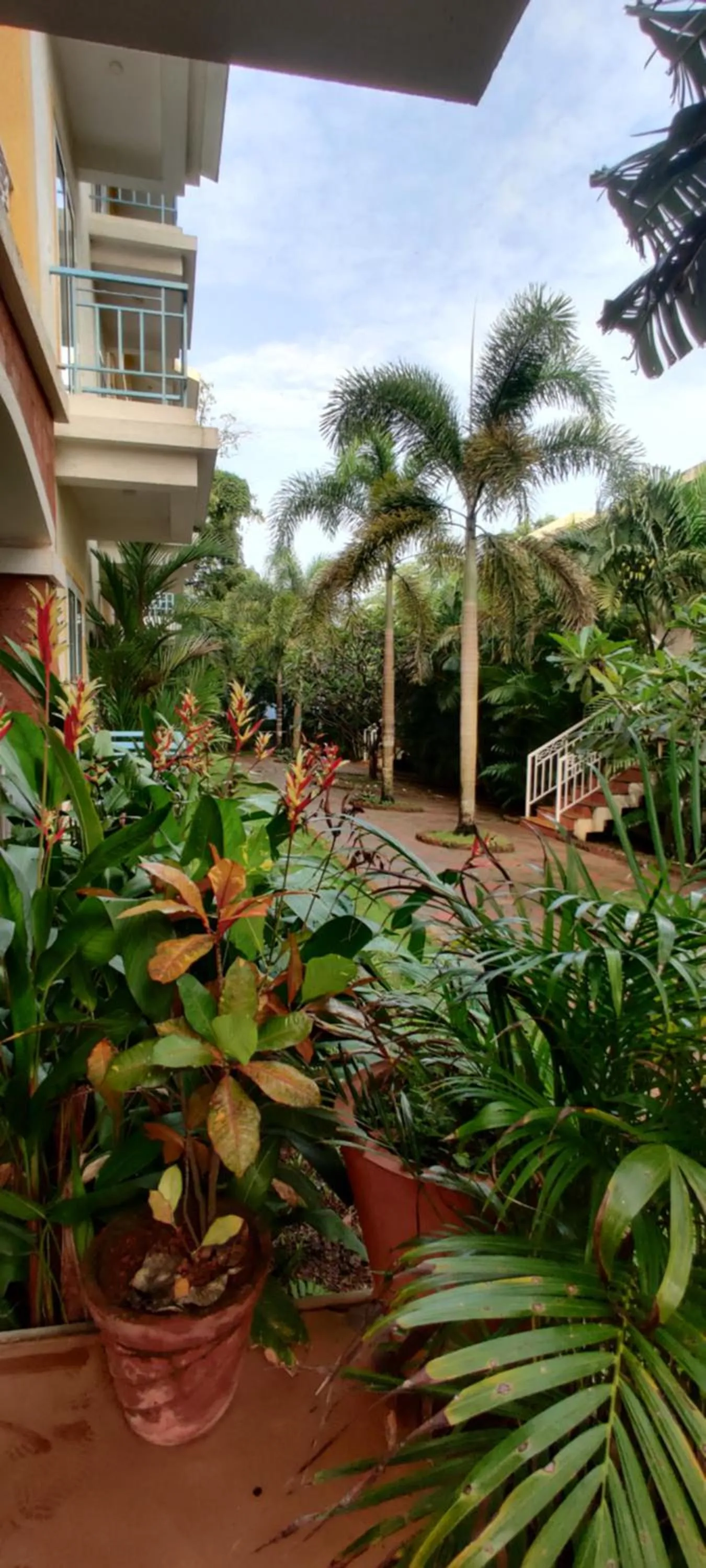 Property building in Passions de Goa