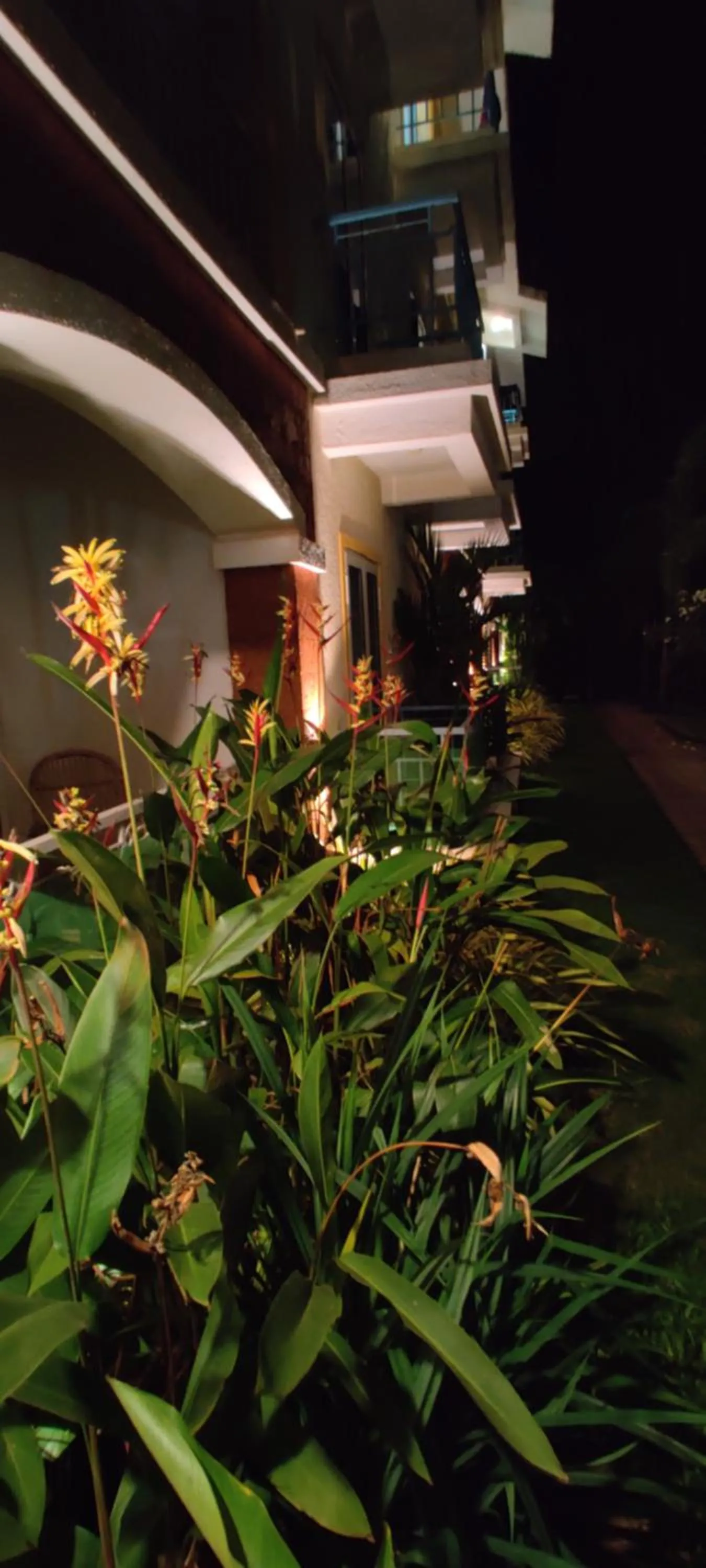 Property building in Passions de Goa