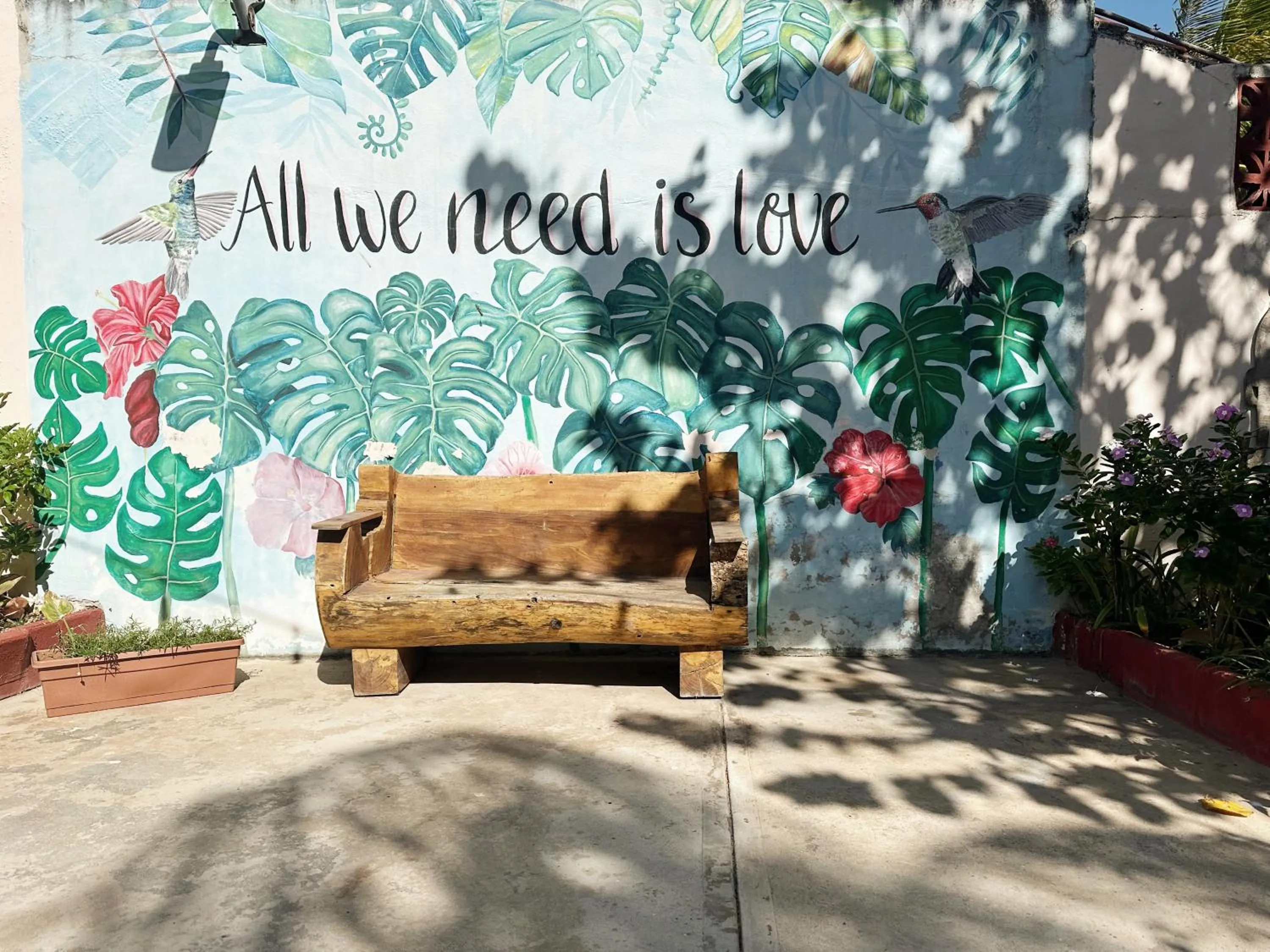 Day in Hotel El Perico Marinero