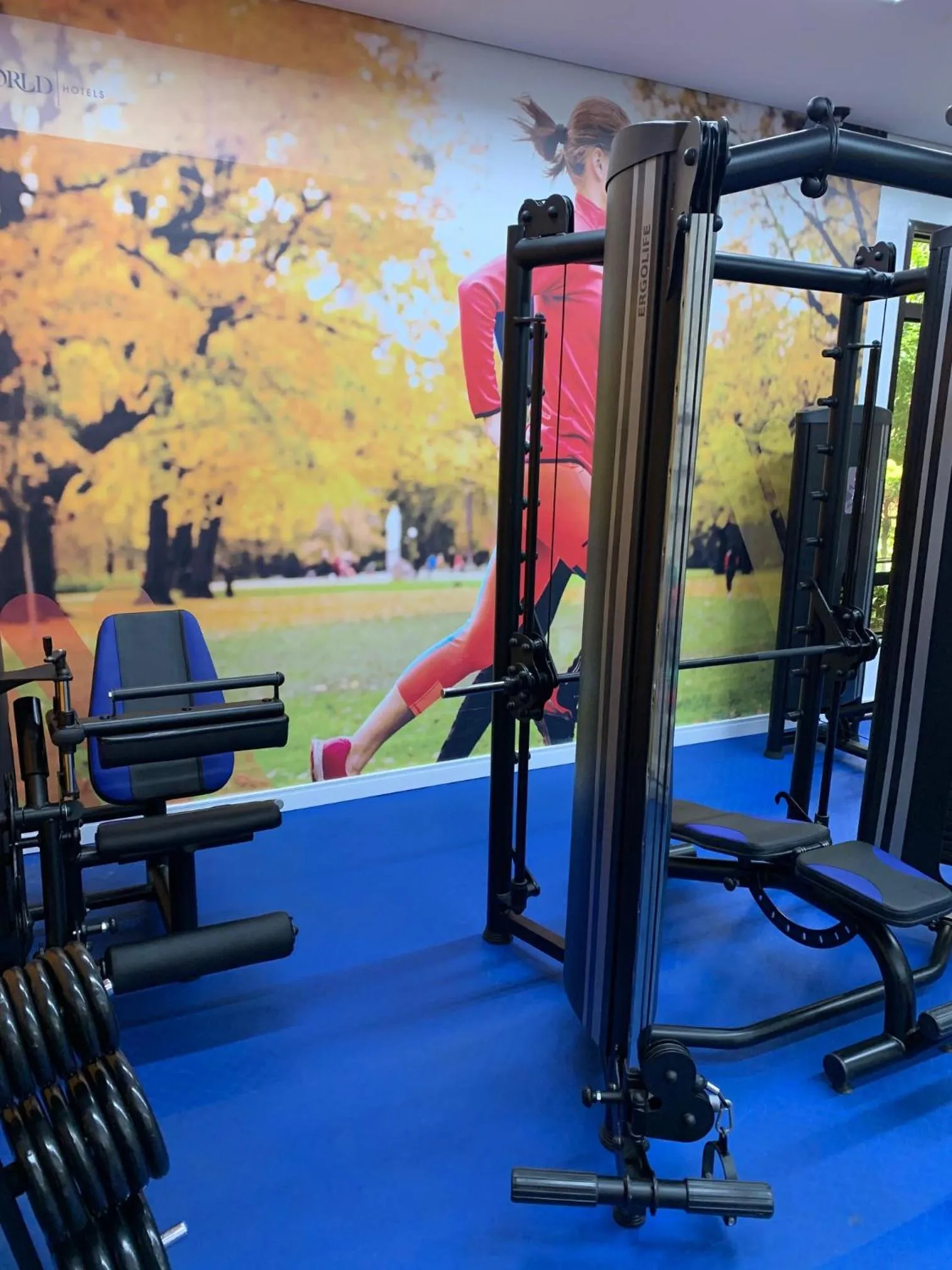 Charmoso Flat na Vila Oimpia