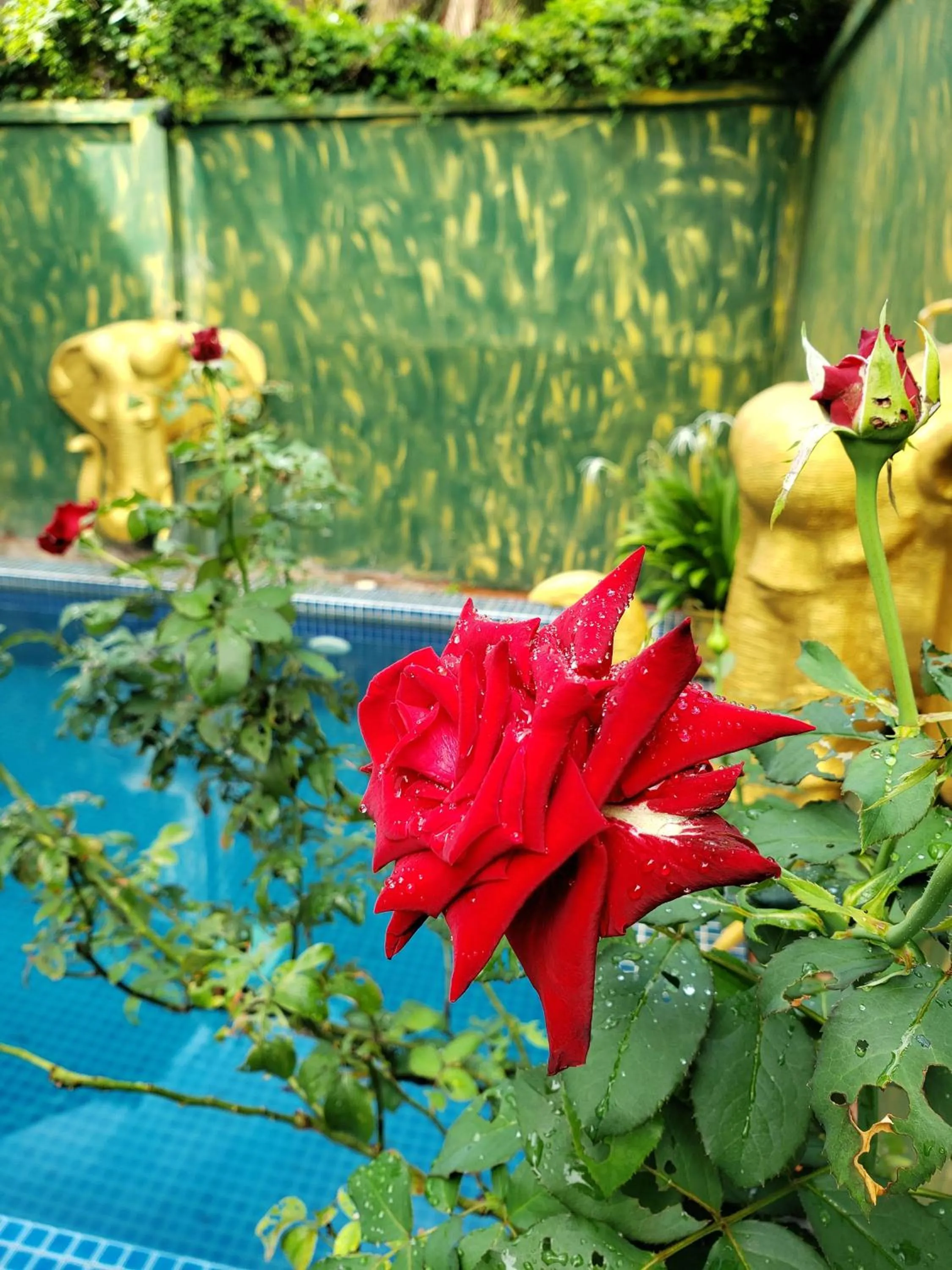 Activities in Parent Heritage Angkor Villa